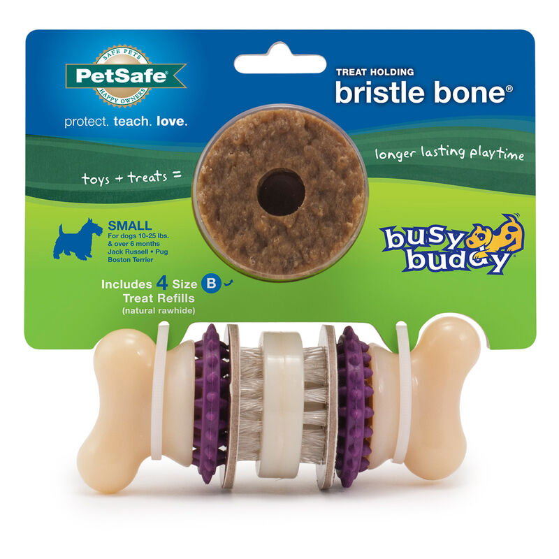 Bristle Bone image number 3