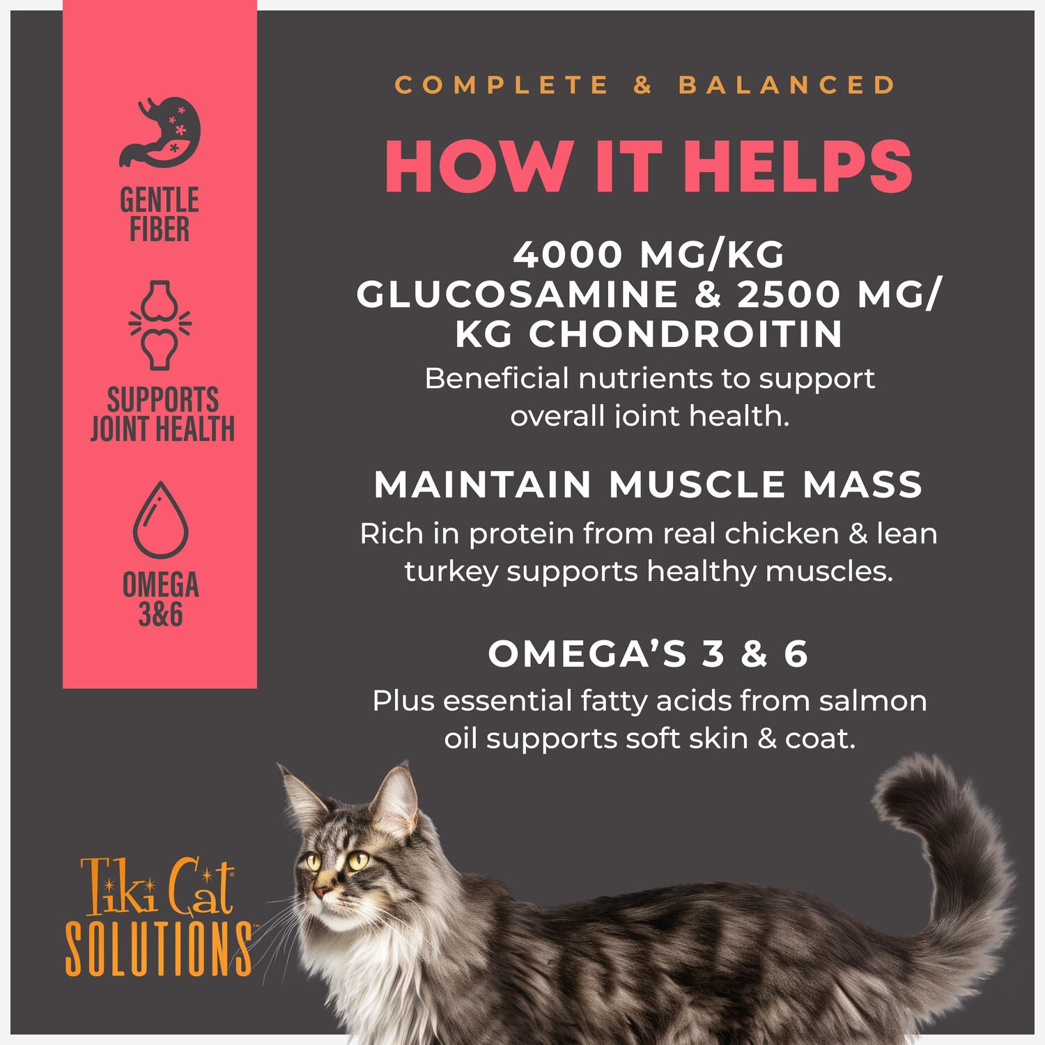 Tiki Cat Solutions Dry Cat Food, Mobility, Chicken & Turkey Recipe, 2.8-Lb Bag