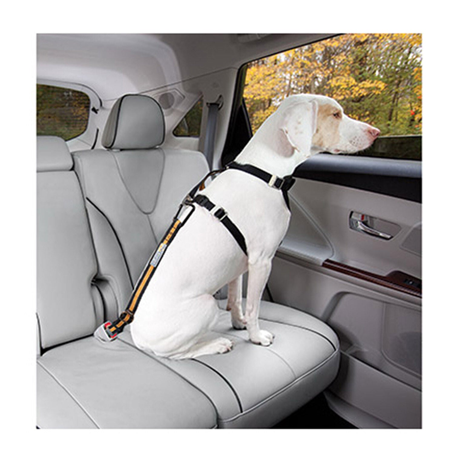 Kurgo Direct To Seatbelt Adjustable Tether Dog Seatbelt
