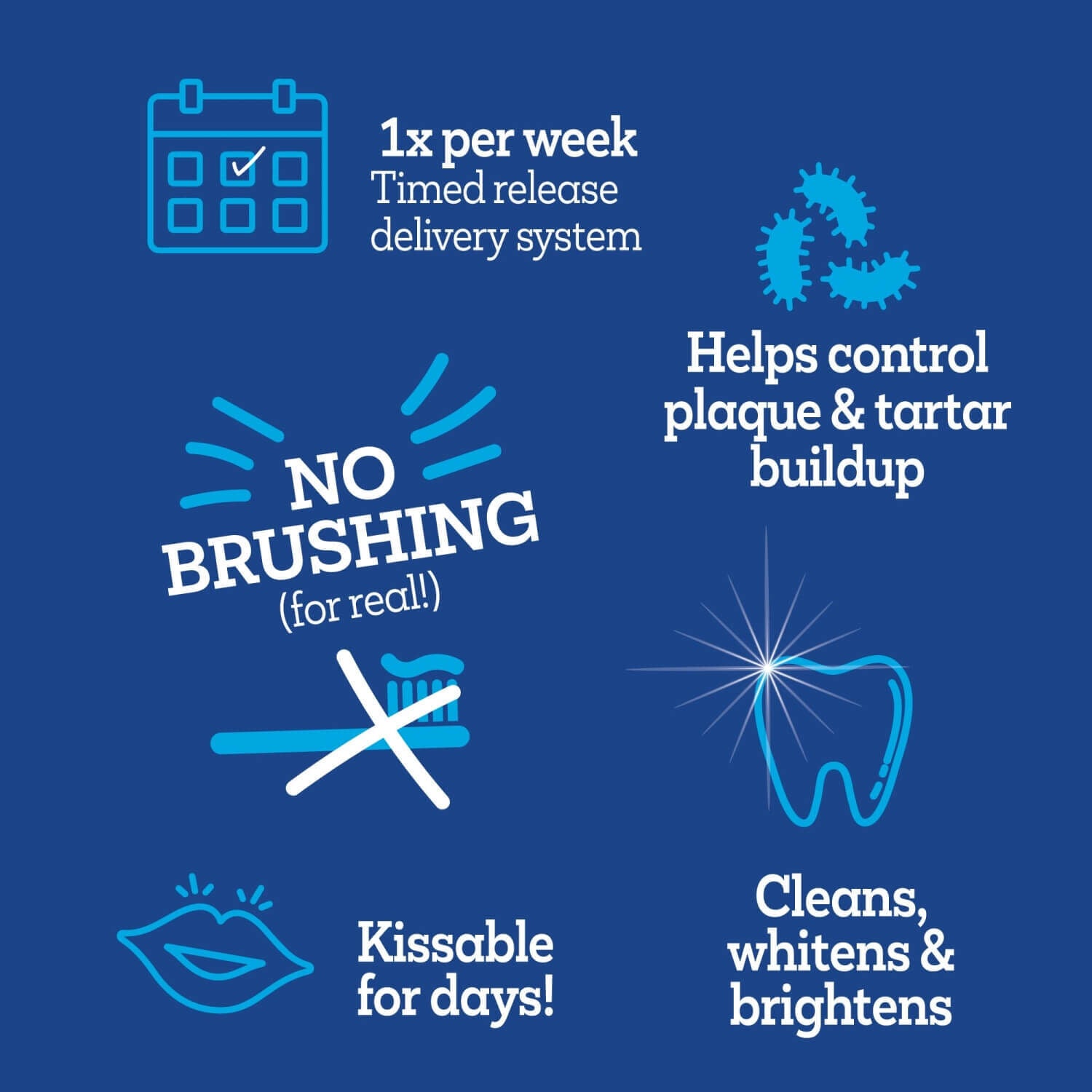 Vetality Brush-Free Oral Gel Dental Care For Cats