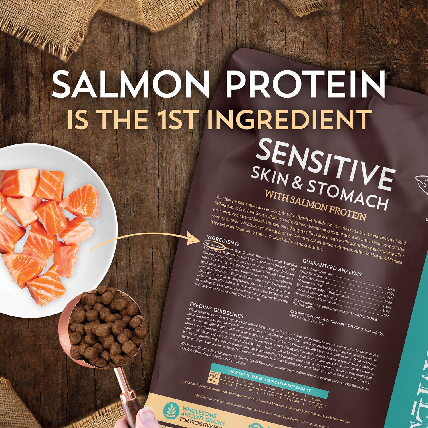 Wholesomes Sensitive Skin & Stomach With Salmon Protein Dry Cat Food, 10-Lb