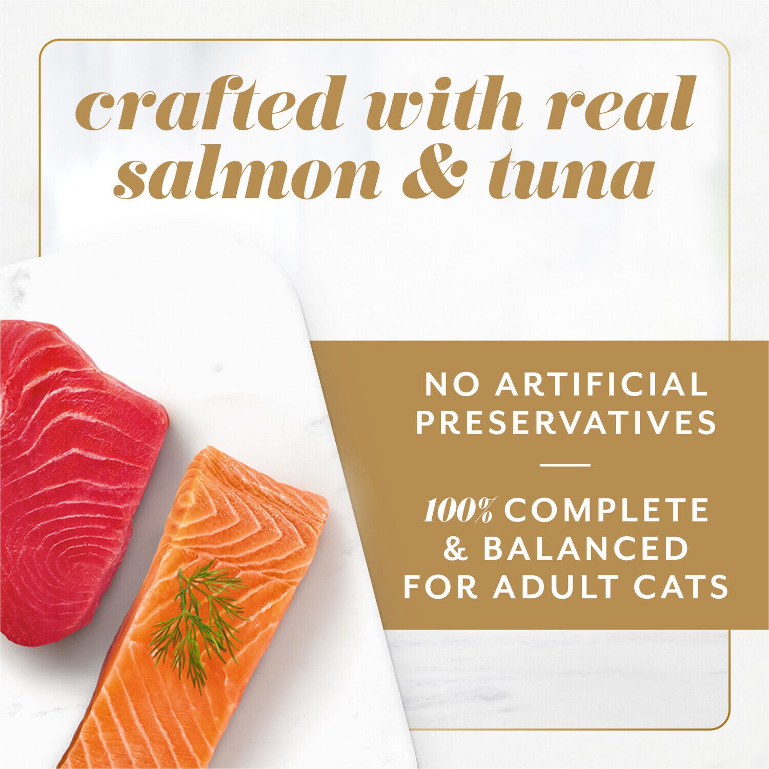 Fancy Feast Gems Pate Cat Food Mousse Salmon Or Tuna And A Halo Of Savory Gravy Wet Cat Food Variety Pack - (1) 8 Ct. Box