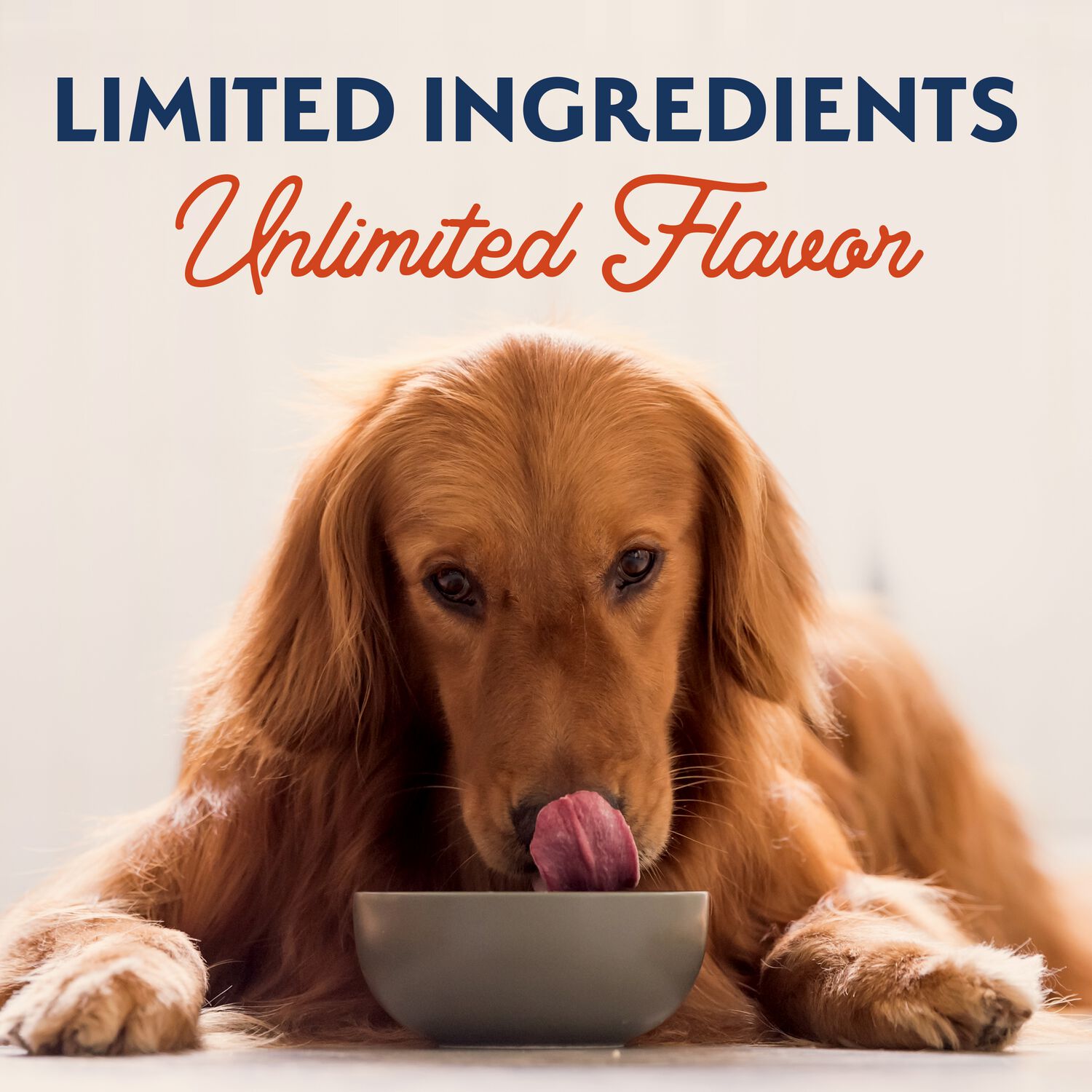 Natural Balance Limited Ingredient Sweet Potato & Salmon Adult Wet Dog Food, 13-Oz Pack Of 12