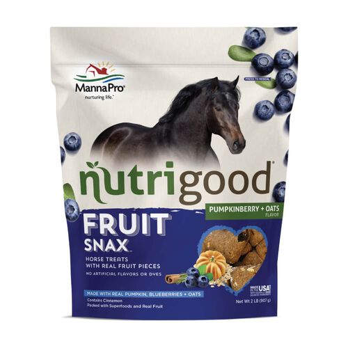 Nutrigood Fruit Snax Pumpkinberry + Oats Treat For Horses