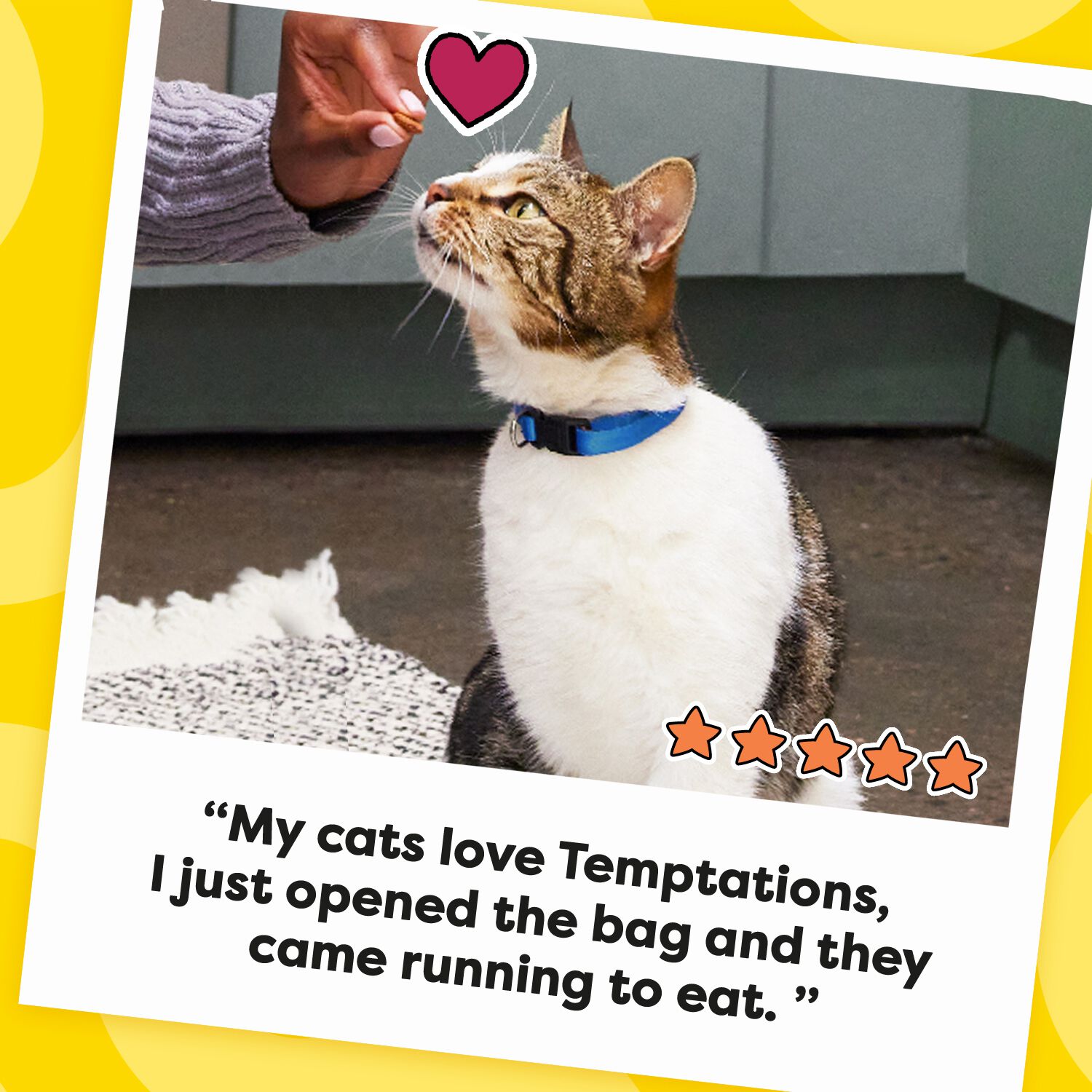 Temptations Classic Crunchy & Soft Tasty Chicken Cat Treats, 30-Oz