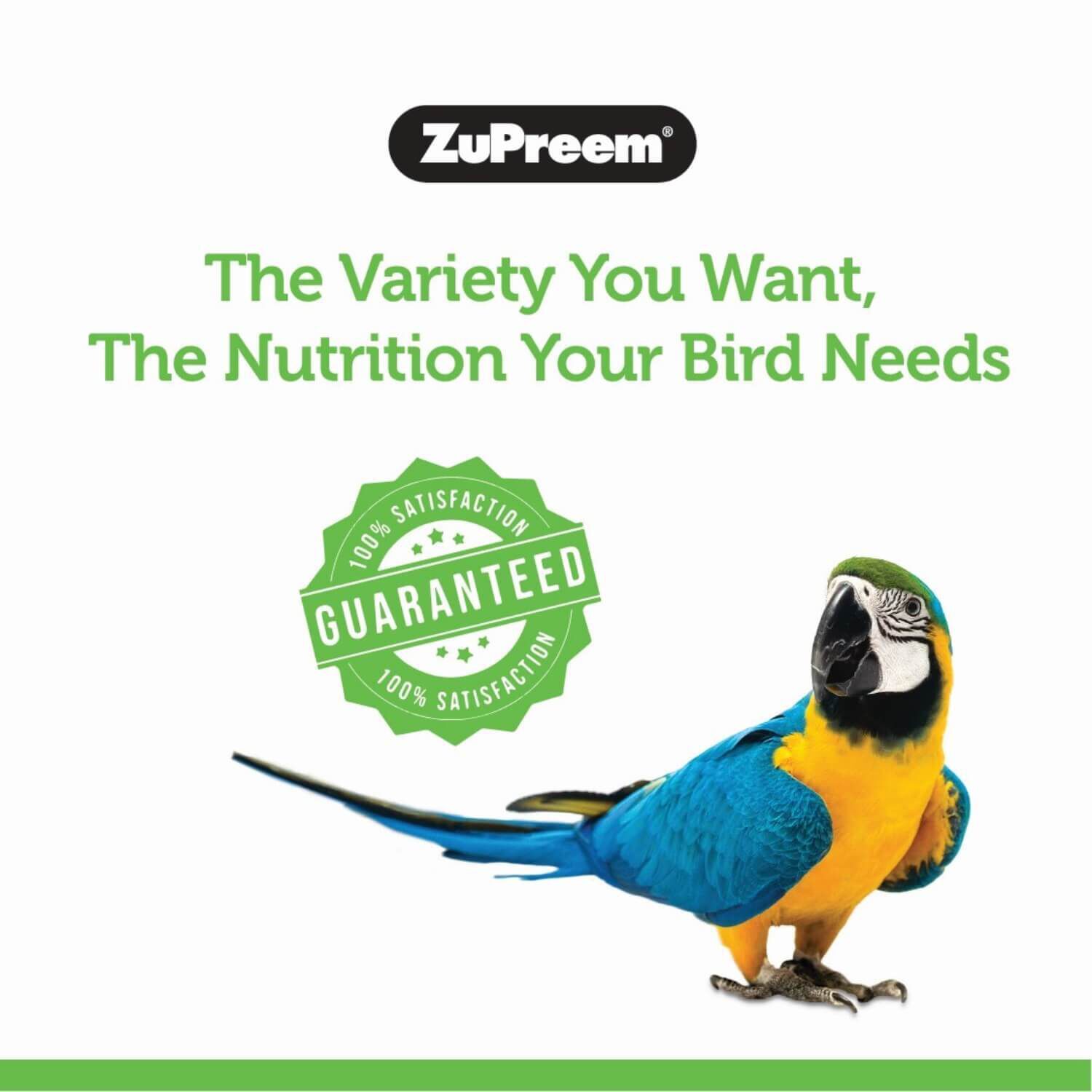 Zupreem Natural With Added Vitamins Bird Food For Parrots & Conures, 3-Lb