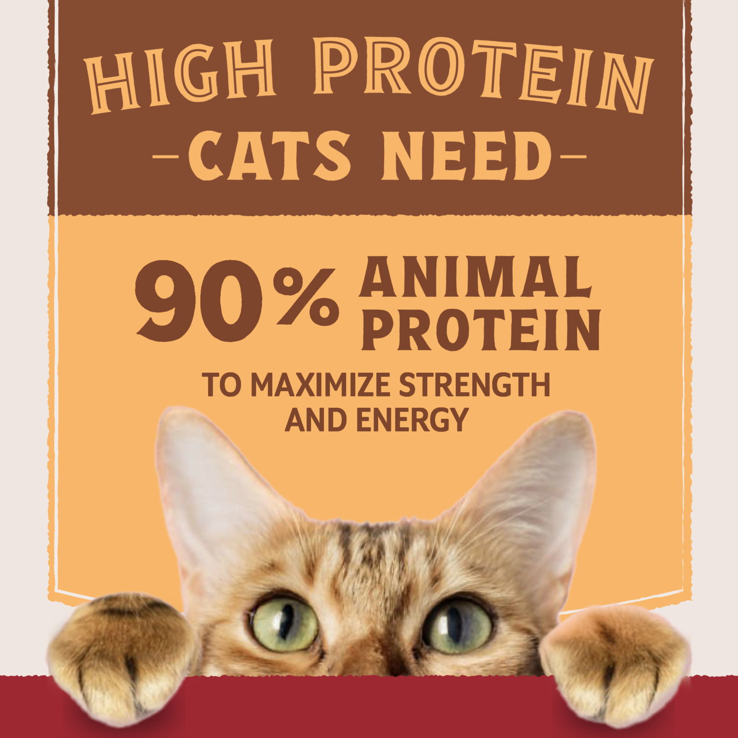 Natural Balance Ultra Protein Wet Cat Food, Real Duck Recipe With Protein-Rich Organs Pate, 2.8-Oz Pack Of 24