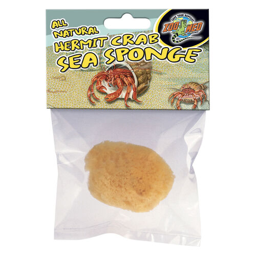Hermit Crab Sea Sponge For Reptile Enclosures