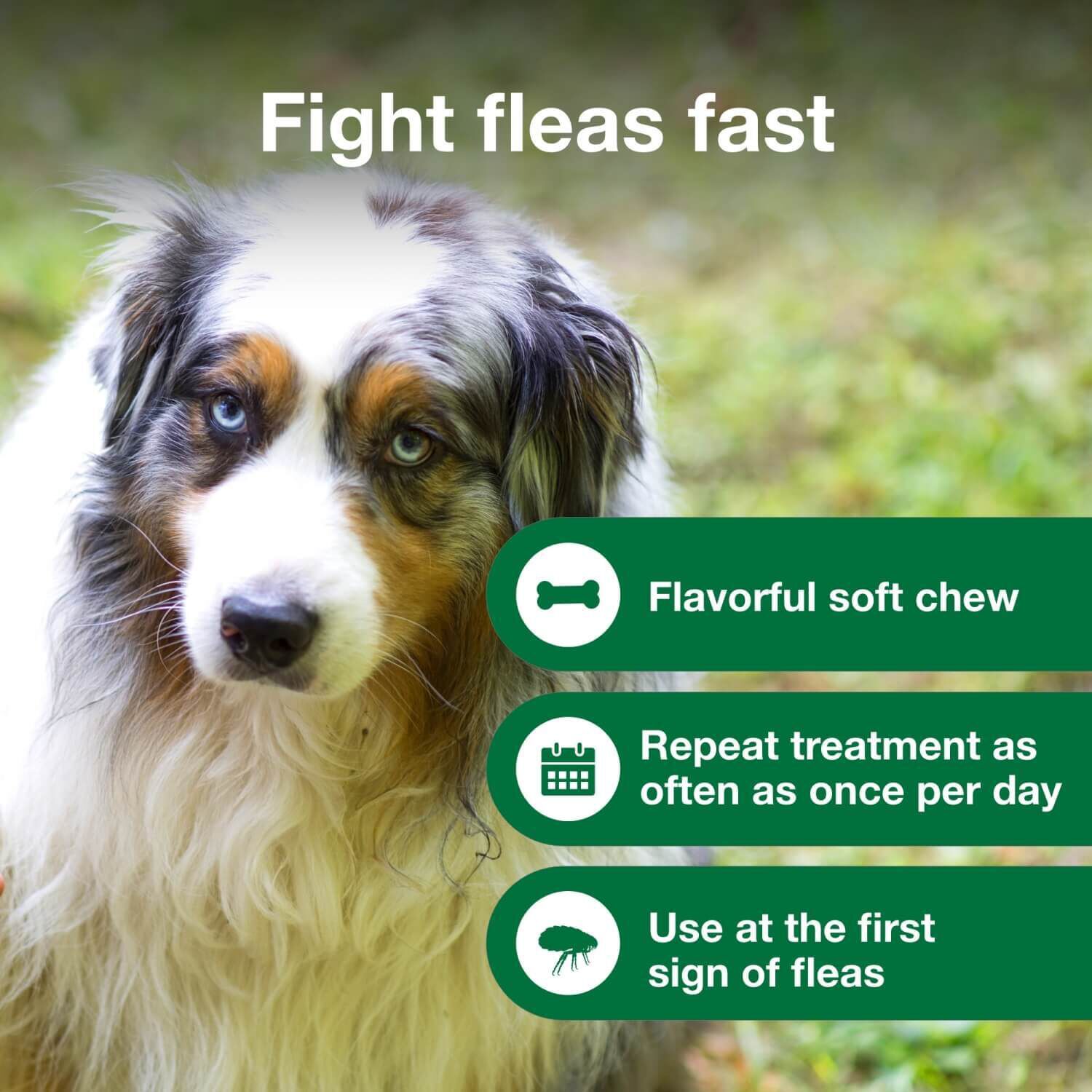 Advantus Chewable Oral Flea Treatment For Dogs, 23-110 Lbs