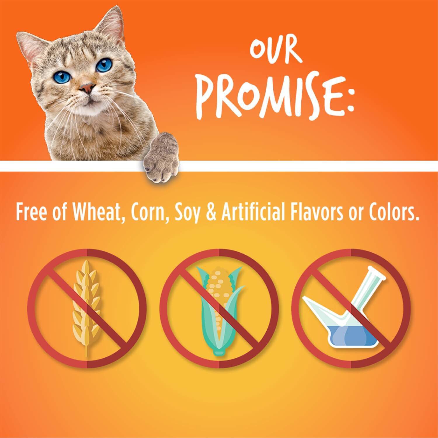 Fruitables Crunchy Tuna & Pumpkin Cat Treats 2.5oz Pet Supermarket