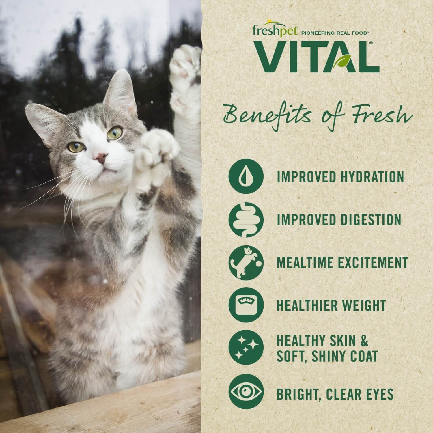 Freshpet Vital Grain Free Fresh Cat Food, Chicken & Beef Roll Recipe