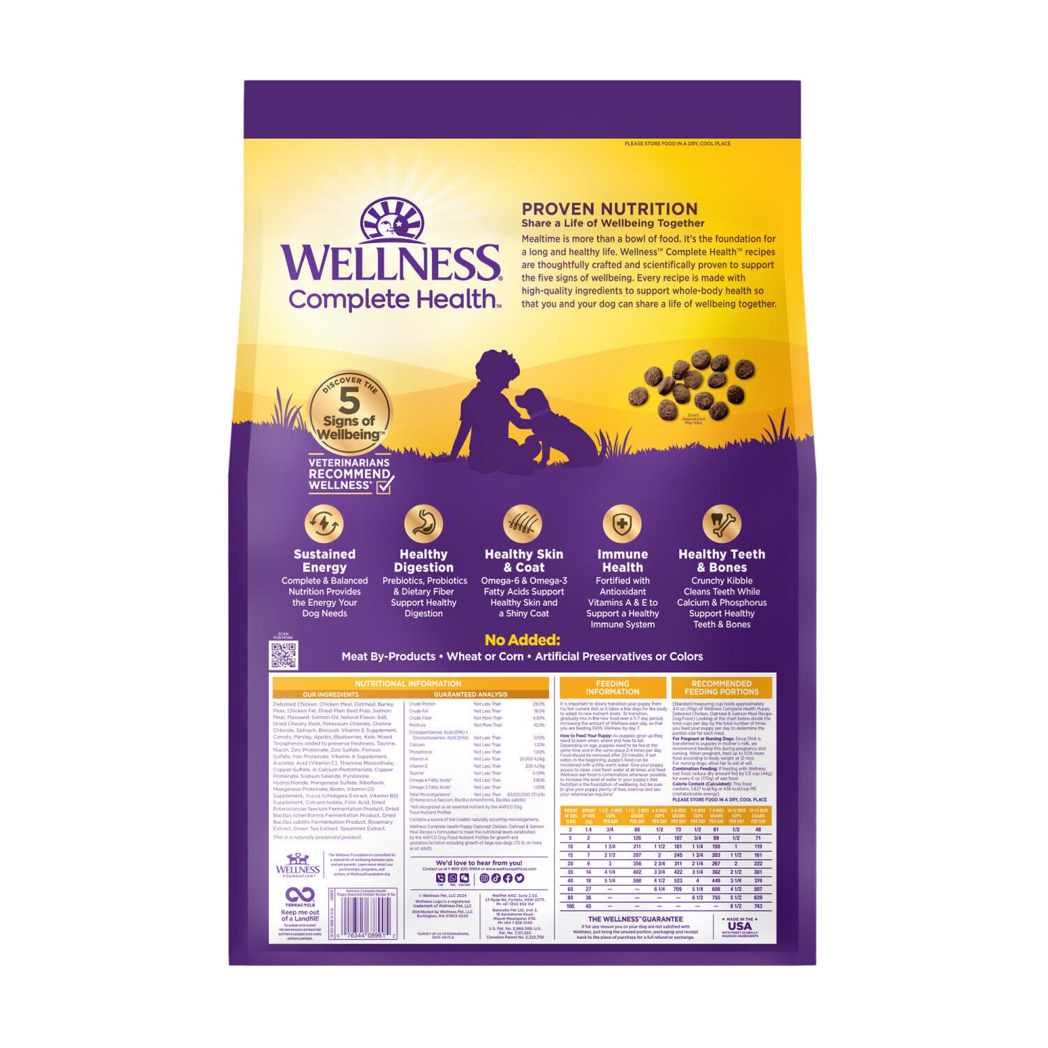 Wellness Complete Health Puppy Dry Dog Food, Wholesome Grains, Natural, Chicken, Oatmeal, & Salmon Recipe, 15-Pound Bag