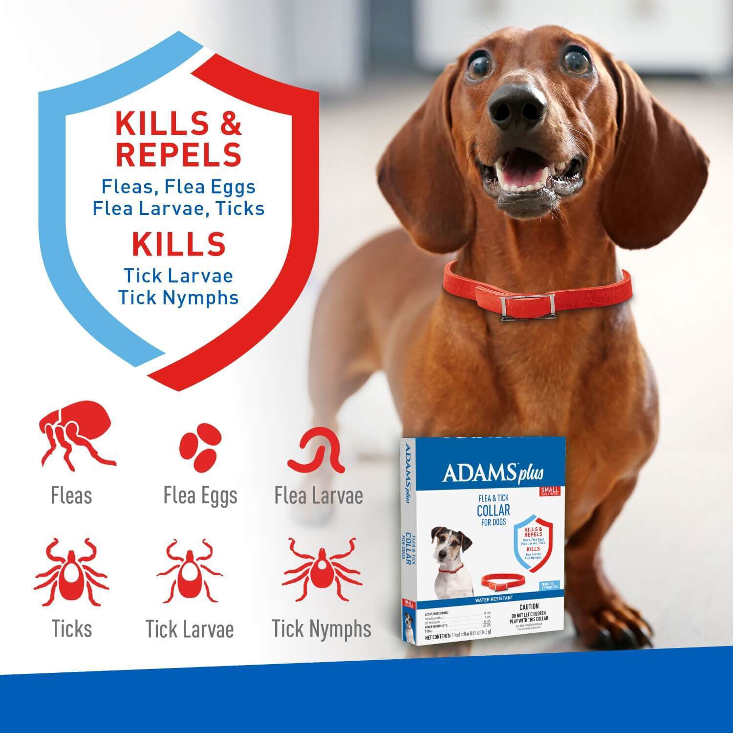 Adams Plus Flea & Tick Dog Collar, Large Dogs