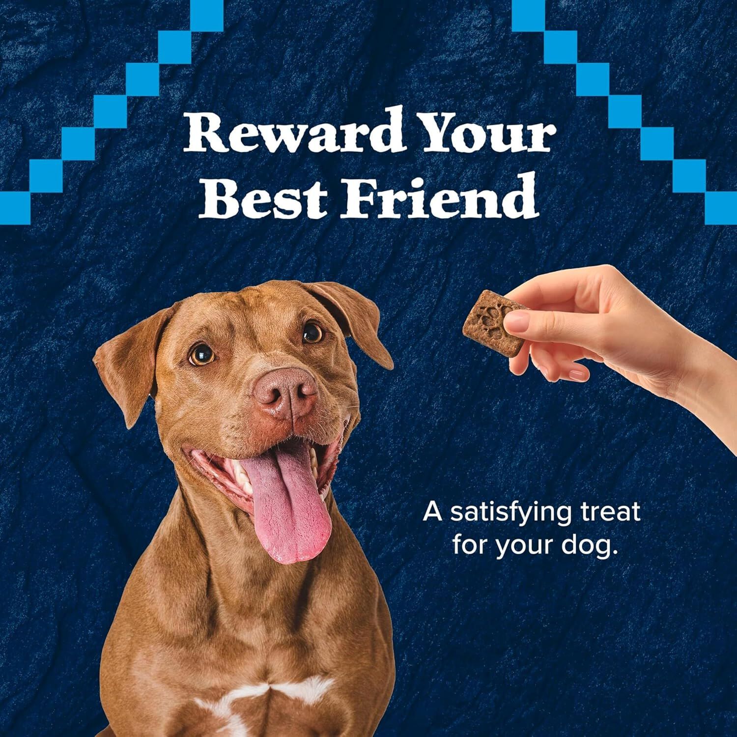 Blue Buffalo Wilderness Trail Treats Grain-Free Biscuit Dog Treats, Turkey Recipe, 10-Oz Bag