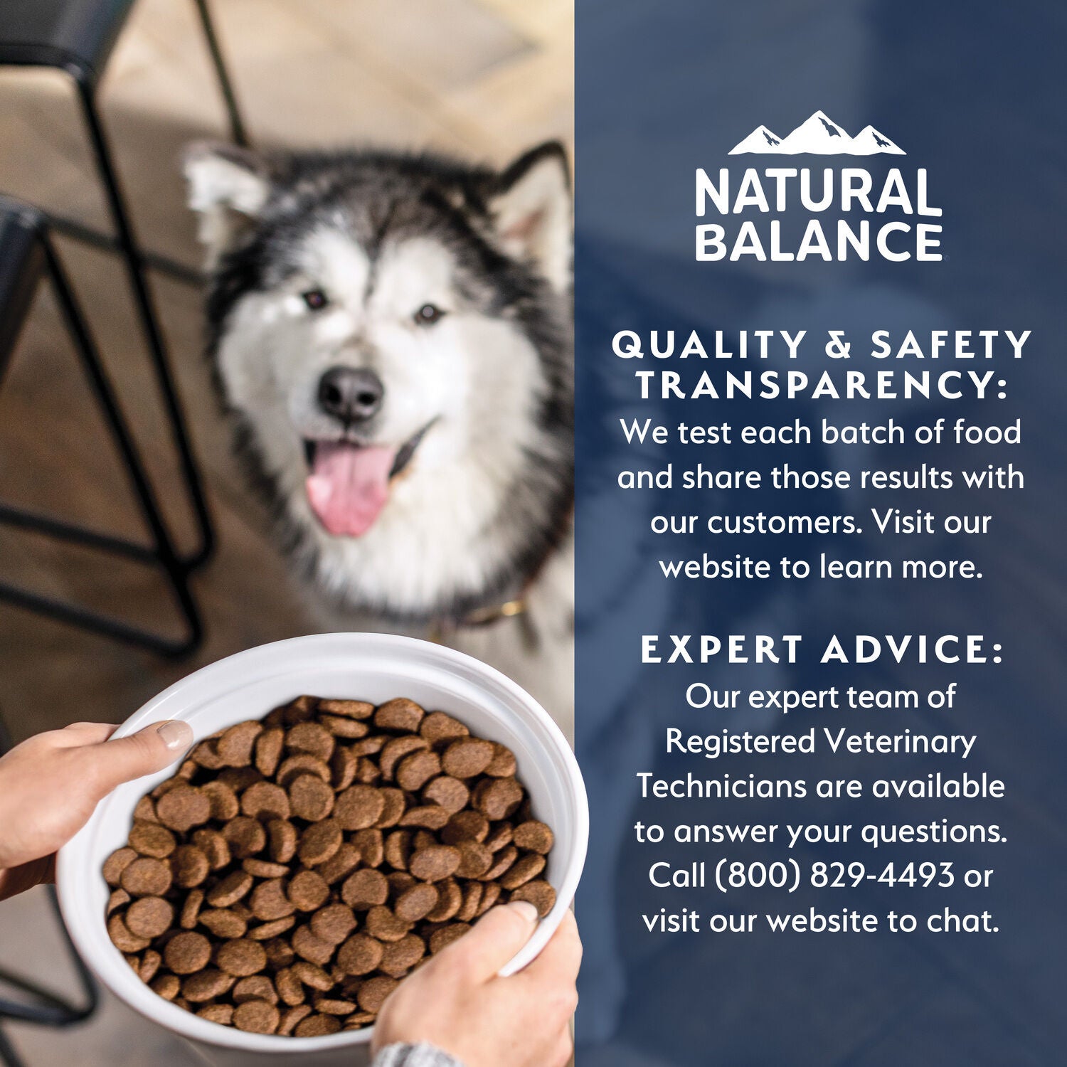 Natural Balance Health Protection Dry Dog Food, Salmon, Brown Rice & Pumpkin Recipe, 4 Lbs.