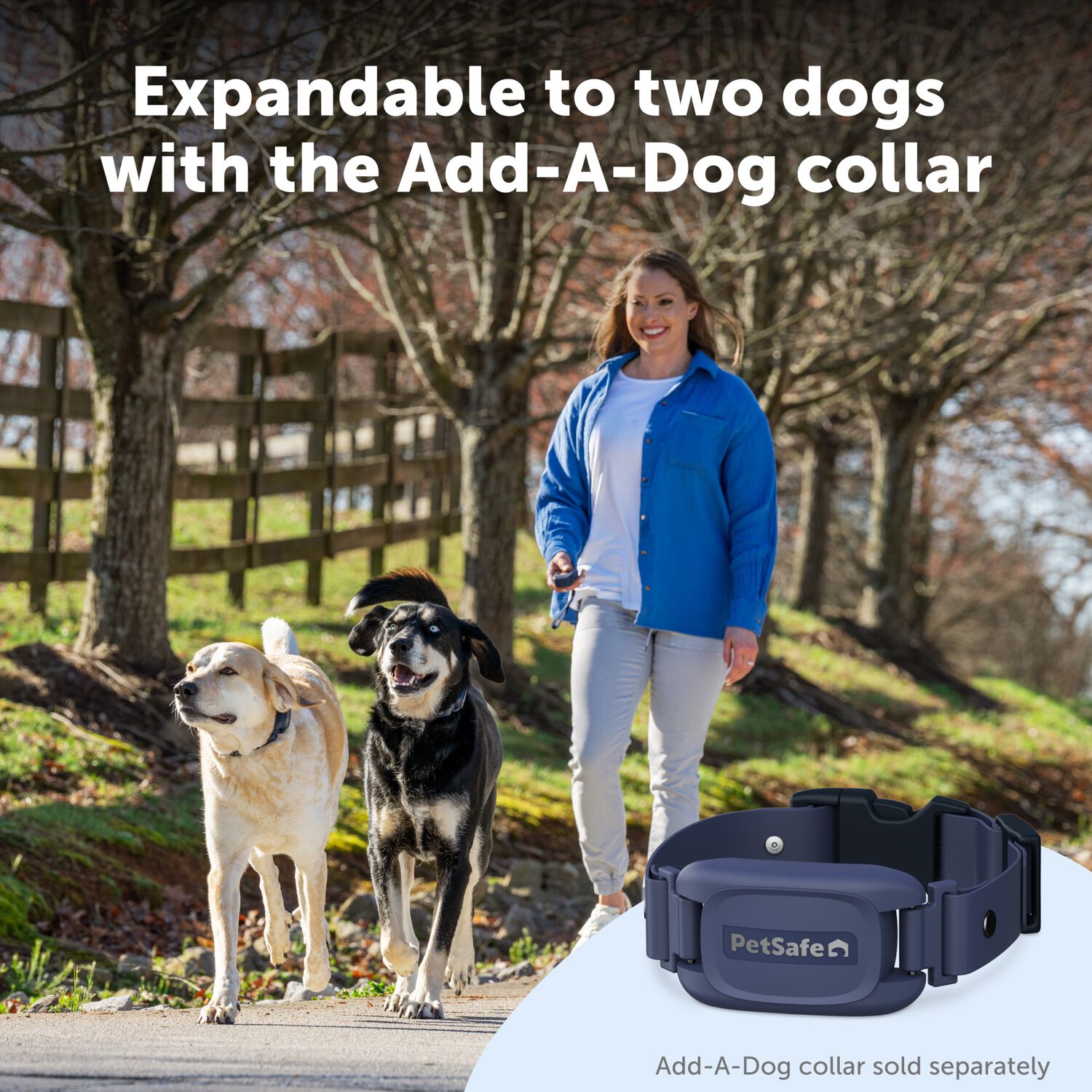 Petsafe Basic Dog Trainer With Remote &ndash; Waterproof Training Dog Collar, 300 Ft Range
