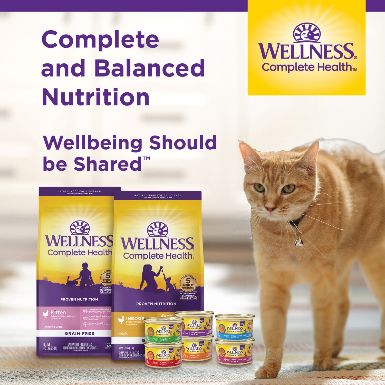Wellness Complete Health Adult Dry Cat Food For Indoor Cats, Grain Free, Natural, Salmon And Herring Meal - 11.5 Pound Bag