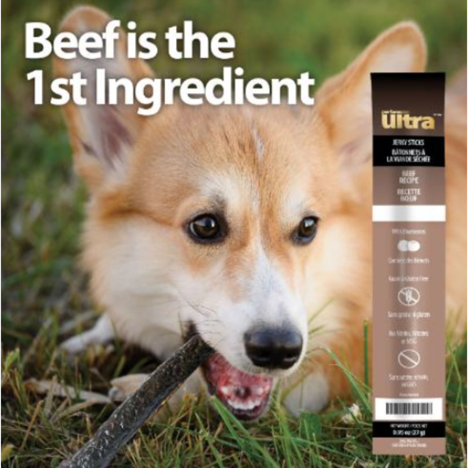 Performatrin Ultra&nbsp;Jerky Sticks Beef Recipe Dog Treats, 1-Each