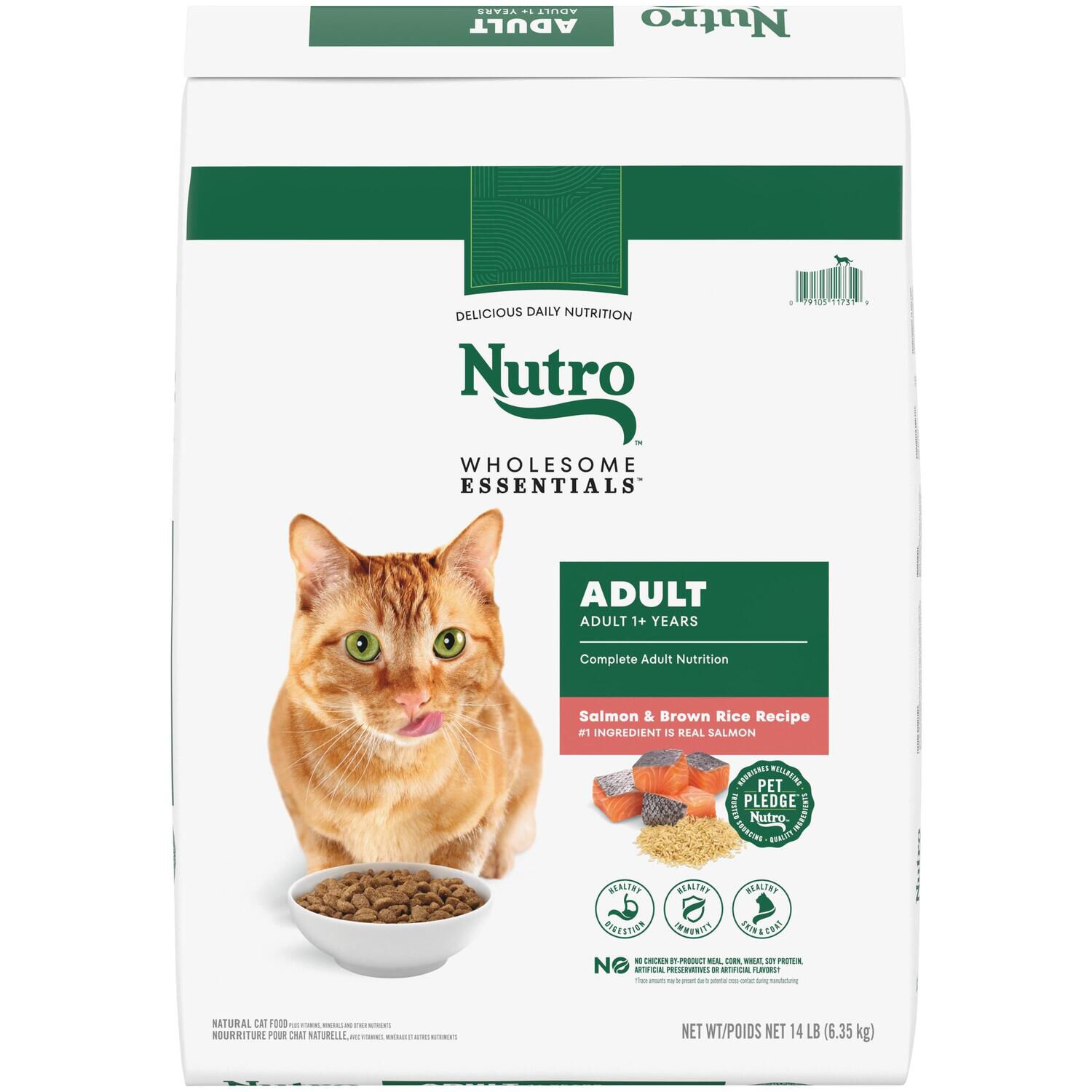 Nutro Wholesome Essentials Salmon & Brown Rice Recipe Dry Cat Food