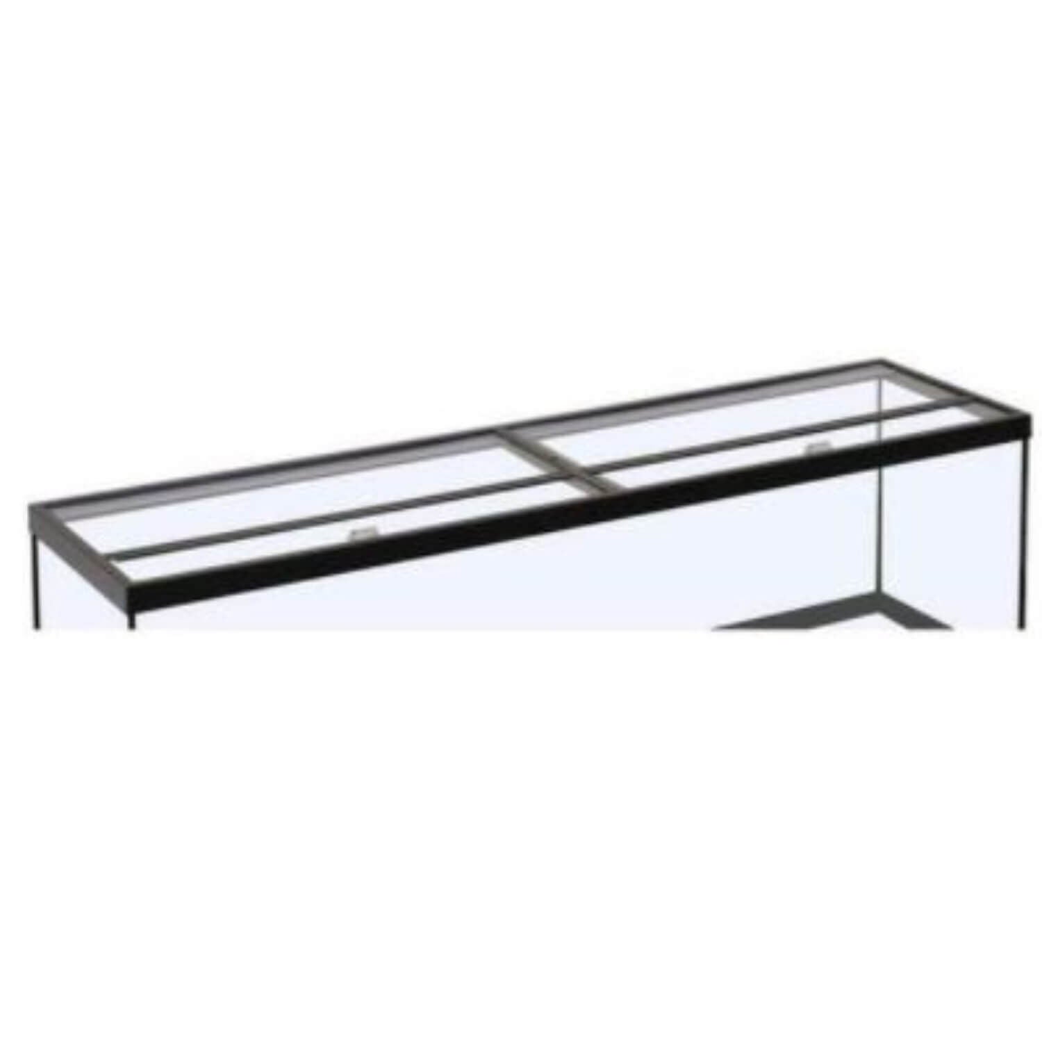 Perfecto Glass Canopy