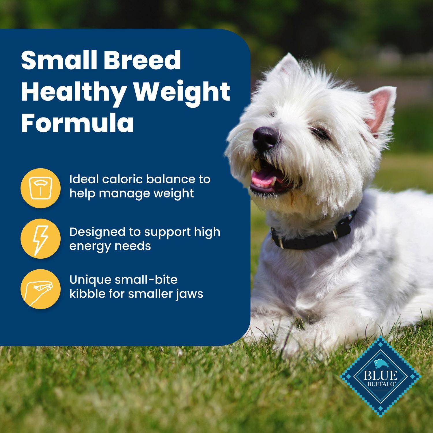 Blue Buffalo Life Protection Formula Small Breed Adult Healthy Weight Chicken & Brown Rice Recipe Dog Food, 15-Lb