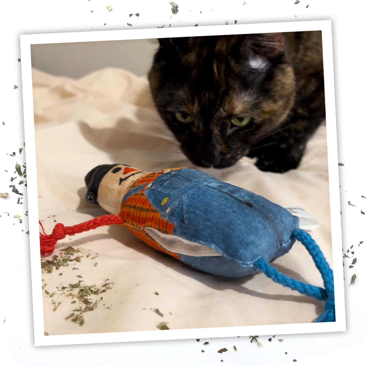 Meowijuana Get Spooked Scarecrow Catnip Cat Toy With Catnip