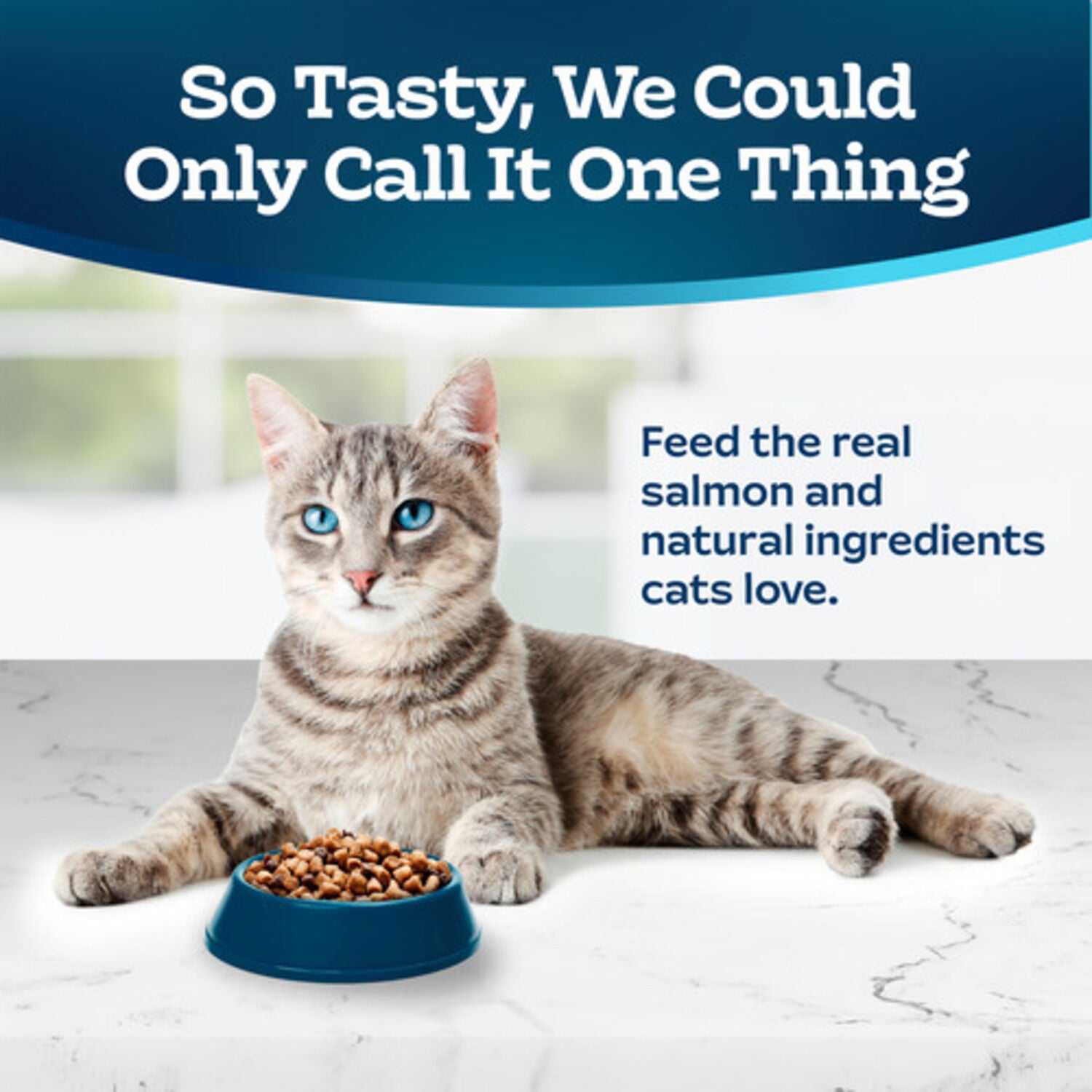 Blue Buffalo Tastefuls Adult Indoor Cat Dry Cat Food, Salmon & Brown Rice, 7-Lb Bag