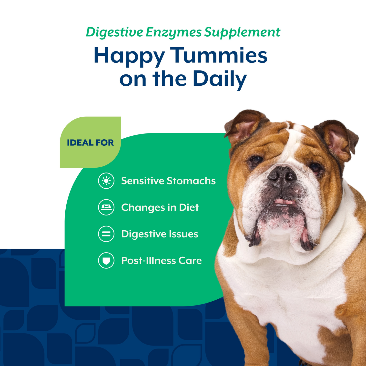 Naturvet Digestive Enzymes +Pre & Probiotic Soft Chew Supplements For Dogs
