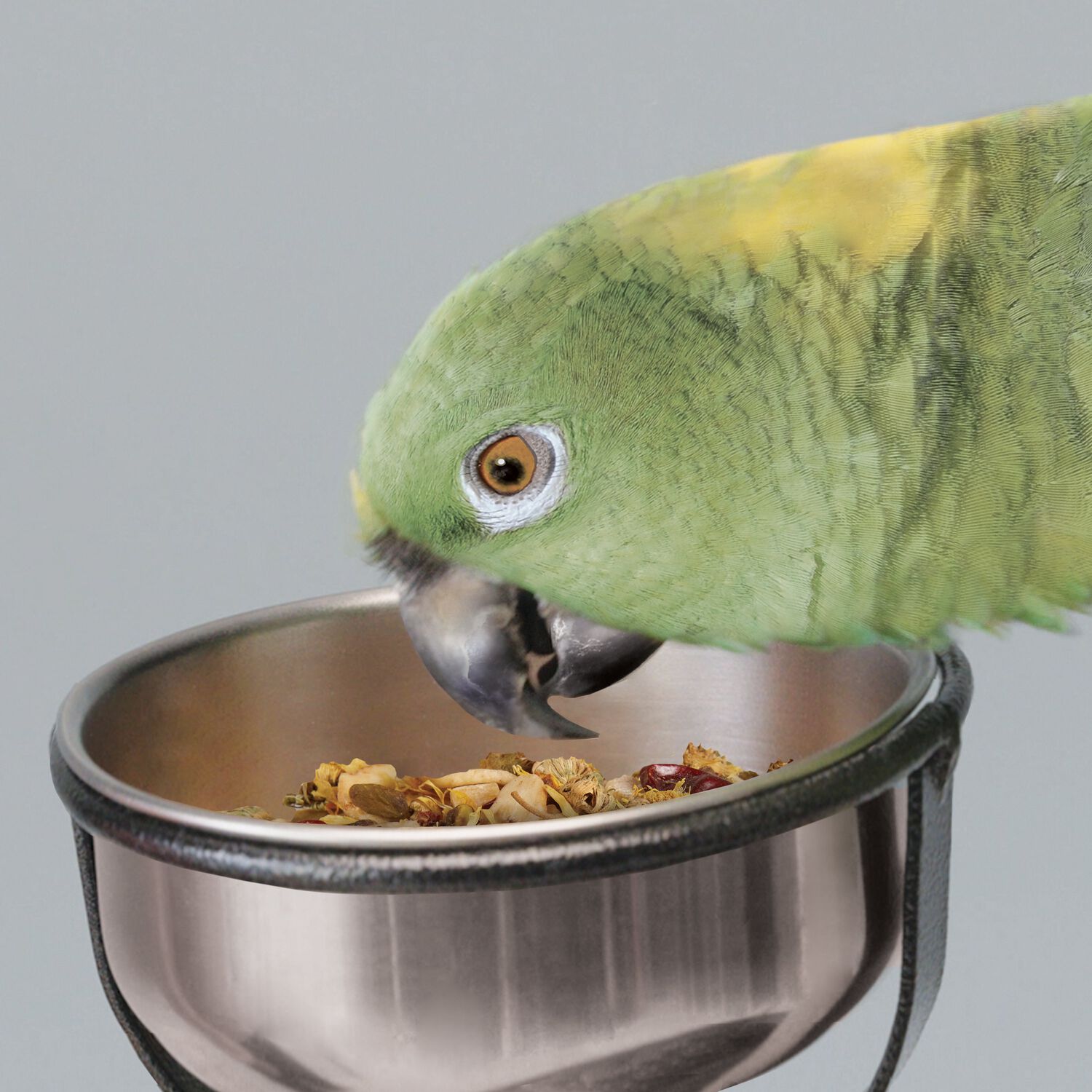 Kaytee Food From The Wild Limited Ingredient Natural Snack Medium & Large Bird Treats, 3-Oz