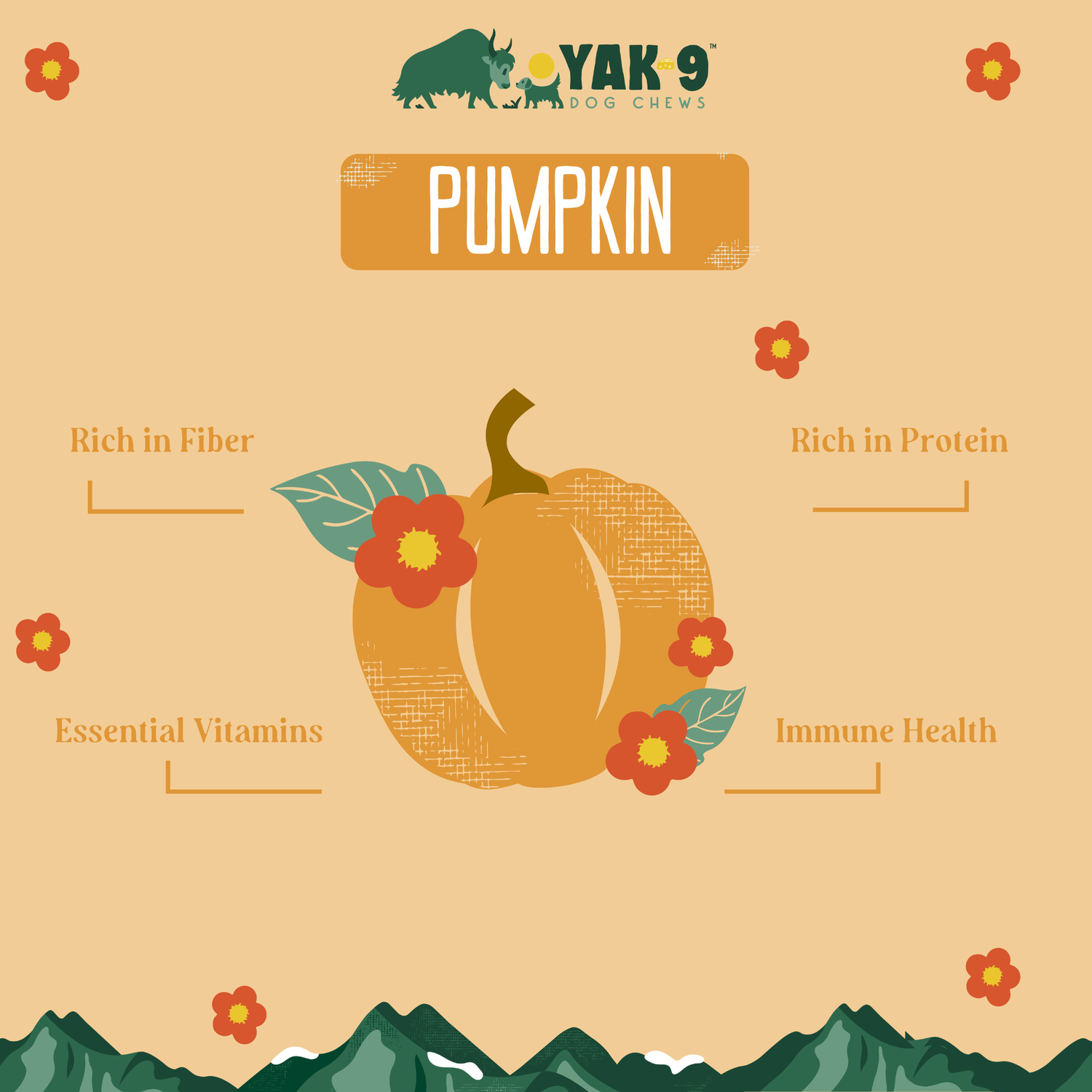 Yak9 Chews Natural Yak Cheese Chews Dog Treats, Pumpkin, Large, 1-Each