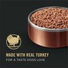 Savor Adult Grain Free Classic Turkey & Sweet Potato Entree Dog Food thumbnail number 16