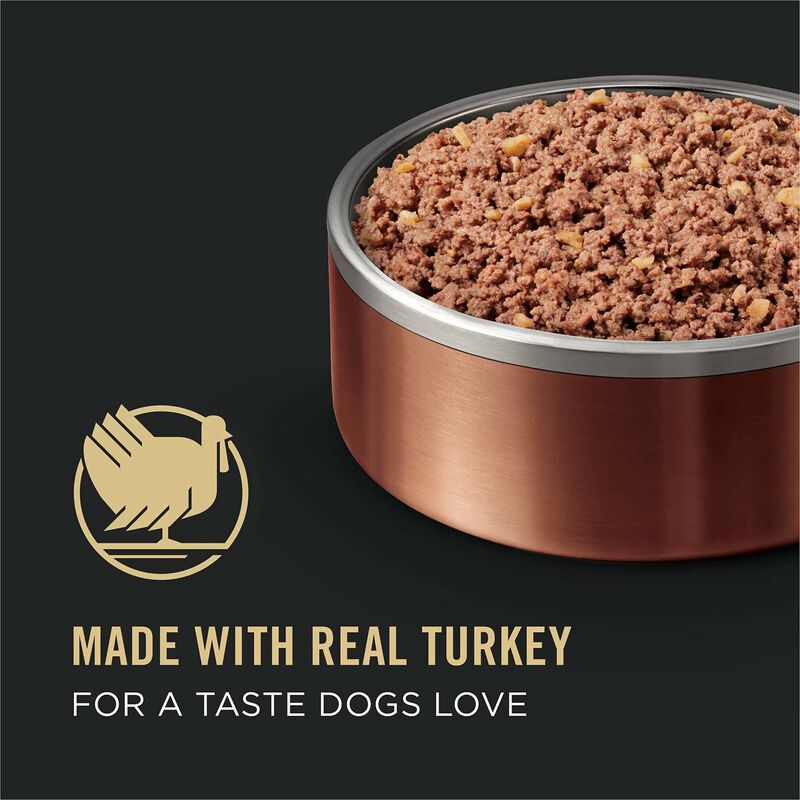 Savor Adult Grain Free Classic Turkey & Sweet Potato Entree Dog Food image number 16