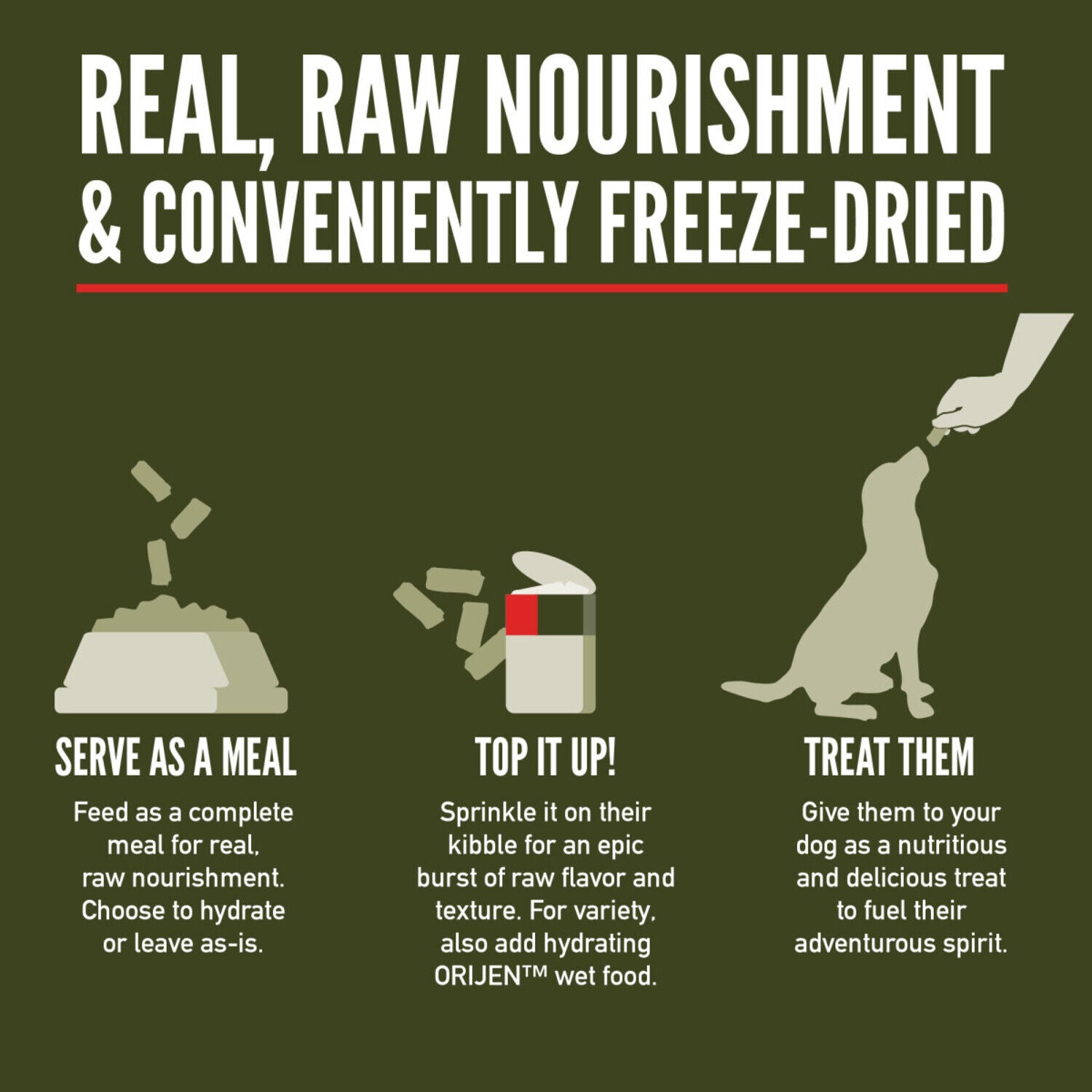 Orijen Epic Bites Freeze-Dried Dog Food, Tundra Recipe, 6-Oz