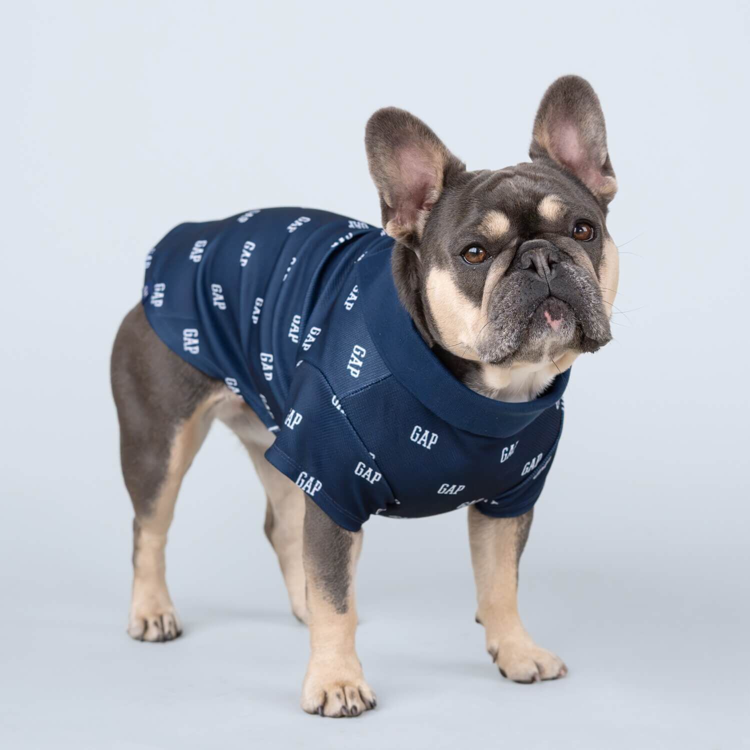 Gap Logo Blue Polo Dog Shirt