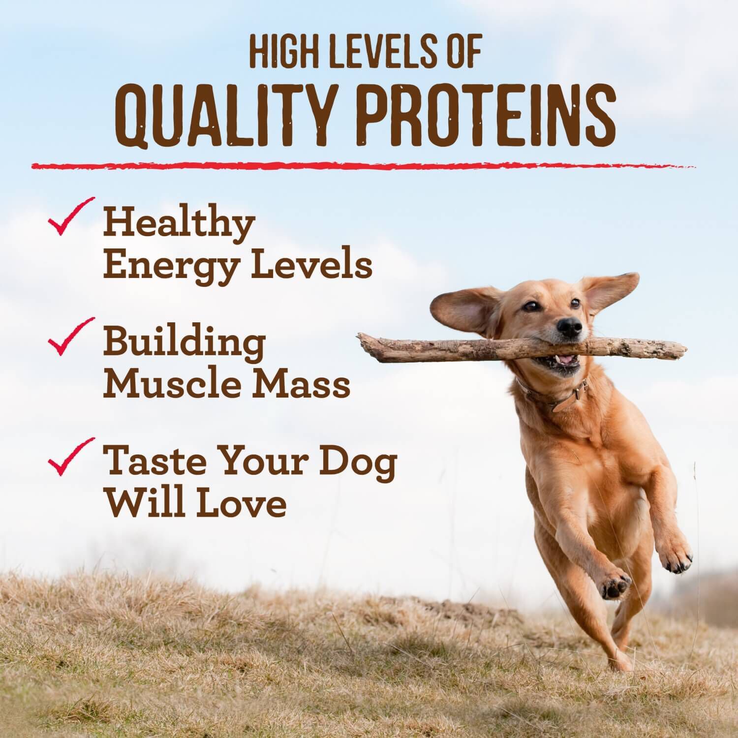 Grain Free Real Buffalo Beef Sweet Potato Recipe 22lb Pet