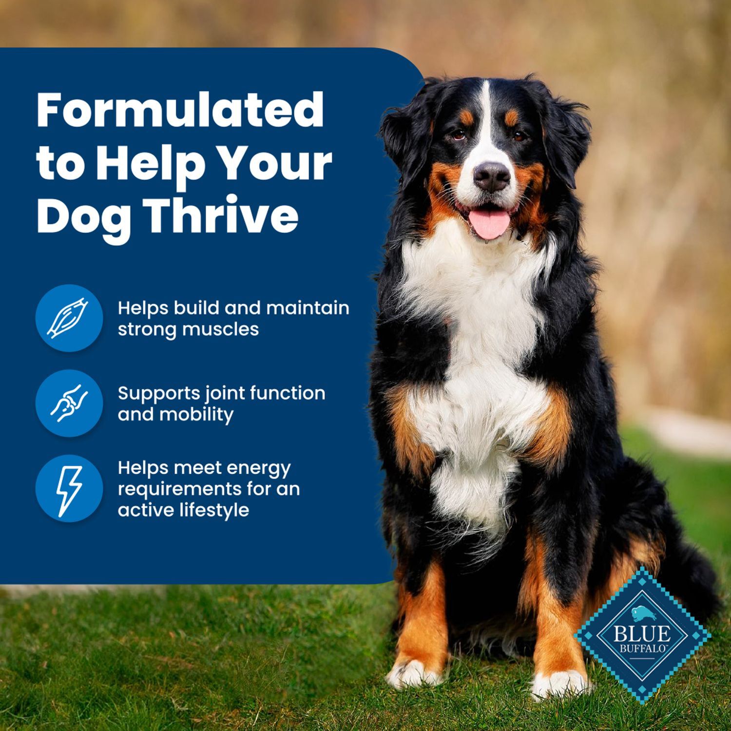 Blue Buffalo Life Protection Chicken & Brown Rice Adult Dog Food, 30-Lb