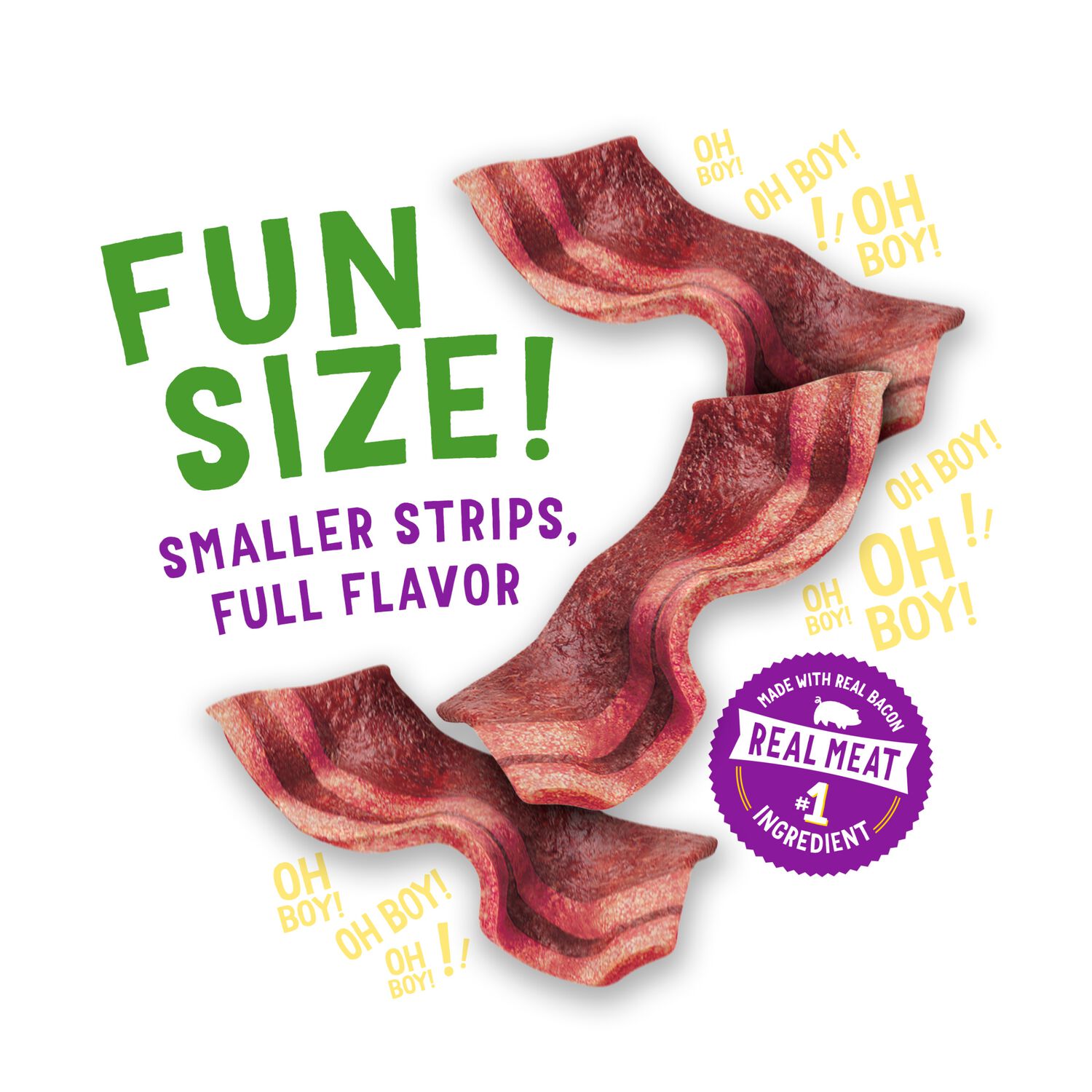 Purina Beggin&rsquo; Strips Fun Size Original Bacon Flavor Dog Treats, 25-Oz