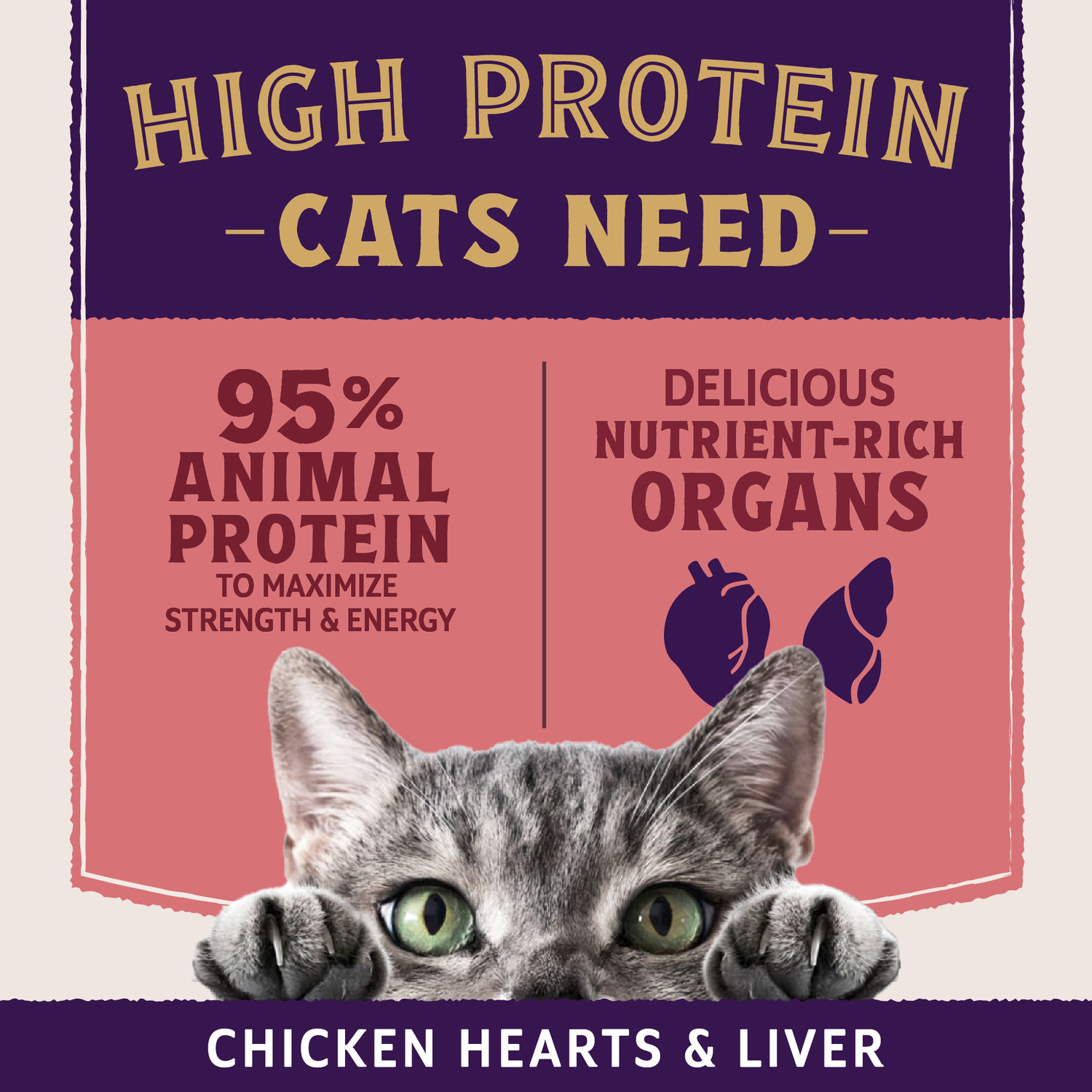 Natural Balance Ultra Protein Plus Wet Cat Food, Skin & Coat And Digestive Health Real Salmon With Pumpkin Recipe Puree Topper, 2.4-Oz-Pack Of 24