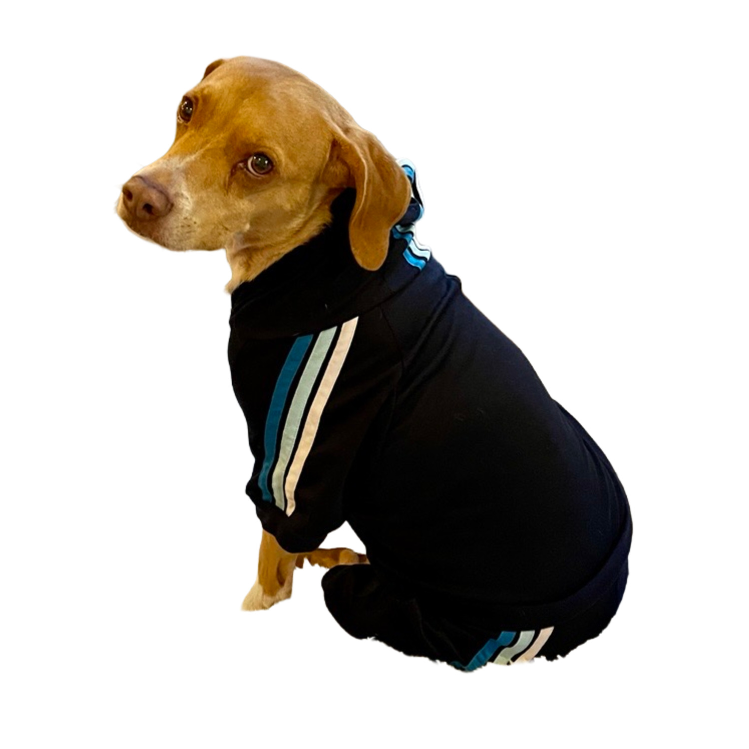 Fabdog Navy Jersey Jogger Dog Track Suit, Extra Large