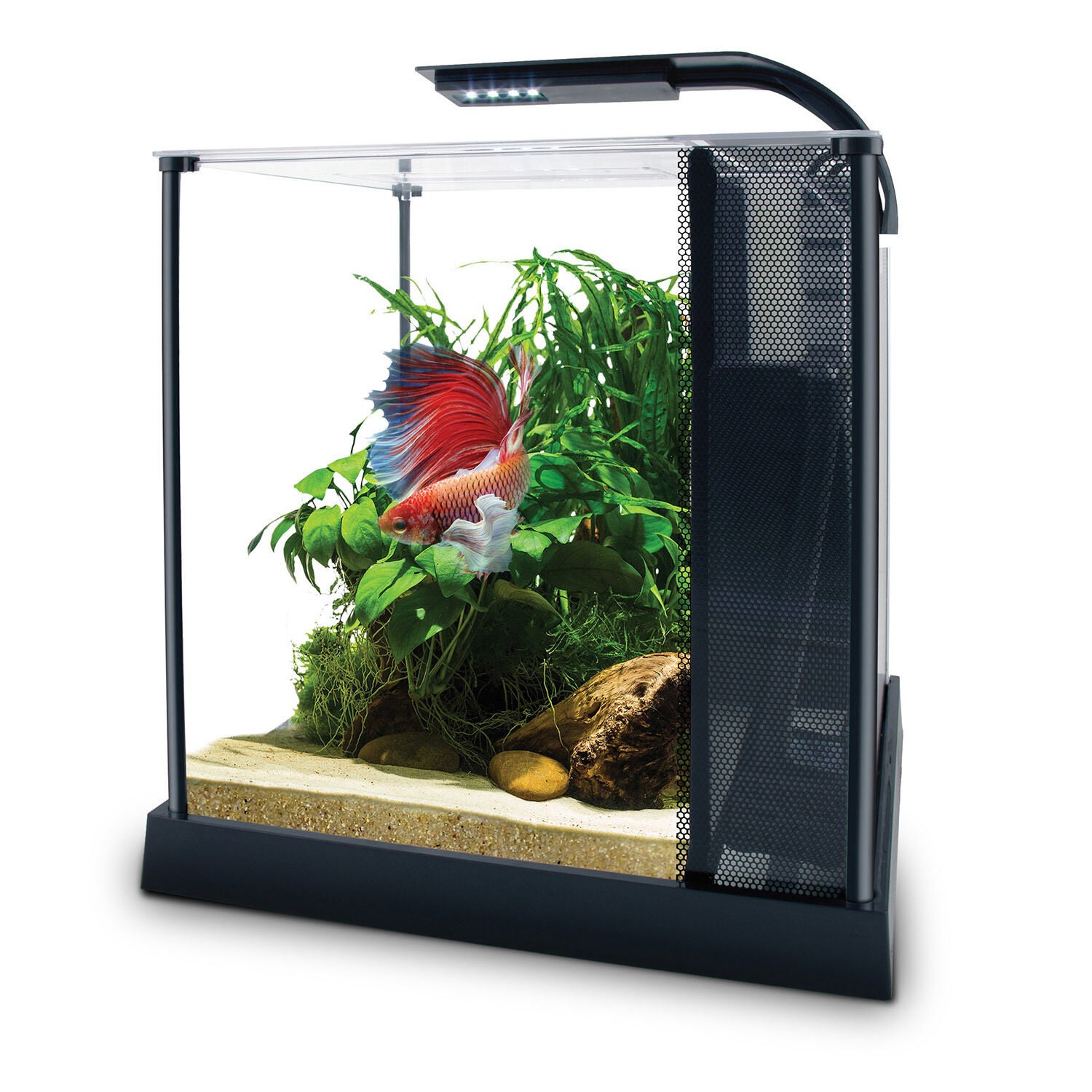 Fluval Premium Betta Kit 10 L Us Gal)