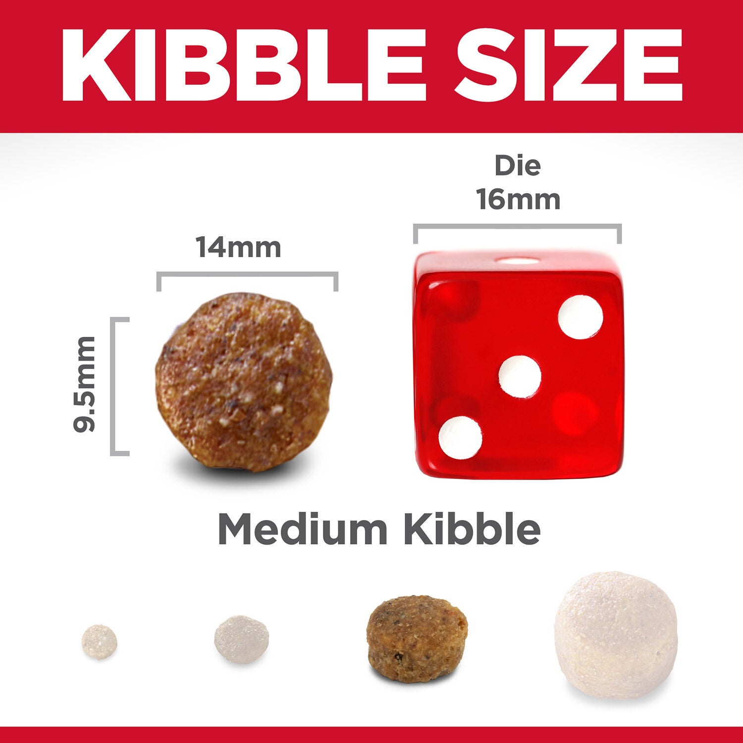 Hill's Science Diet Adult Chicken & Barley Recipe Dry Dog Food