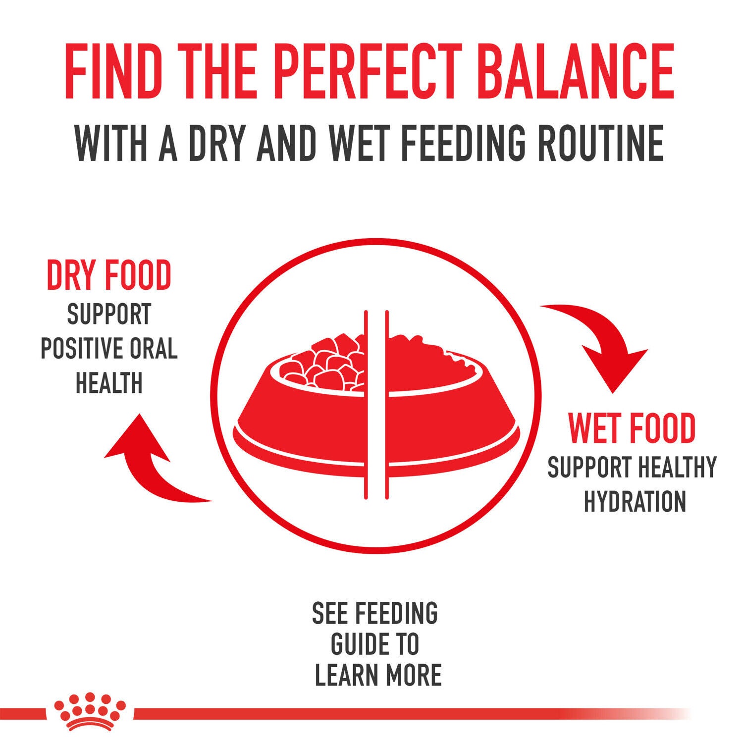 Royal Canin Size Health Nutrition Small Adult Dry Dog Food, 30 Lb