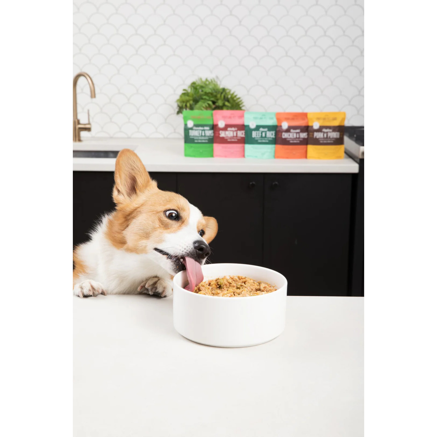 Winnie's Lamb N' Rice Homestyle Fresh Dog Food, 9Oz