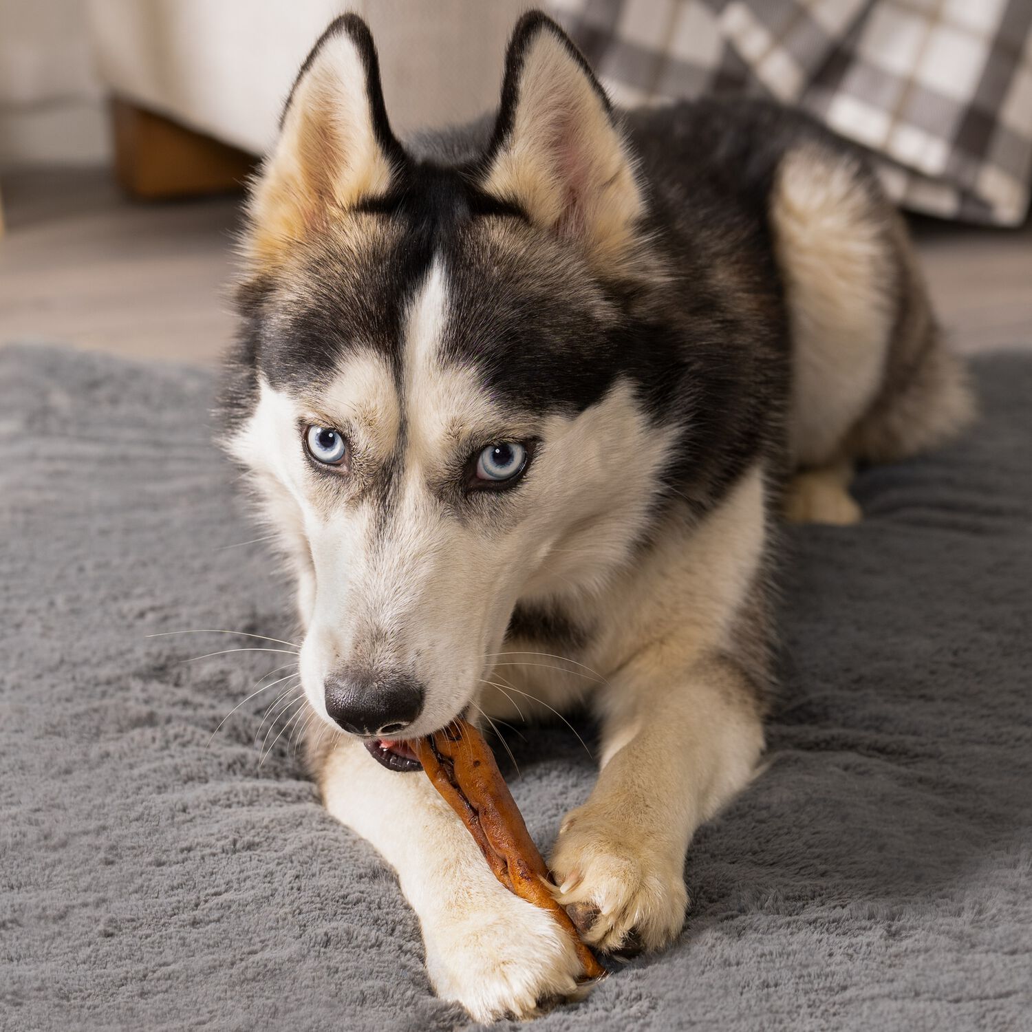 Pet Factory American Beefhide Beef & Chicken Rolls Dog Treats, 5" Pack Of 4