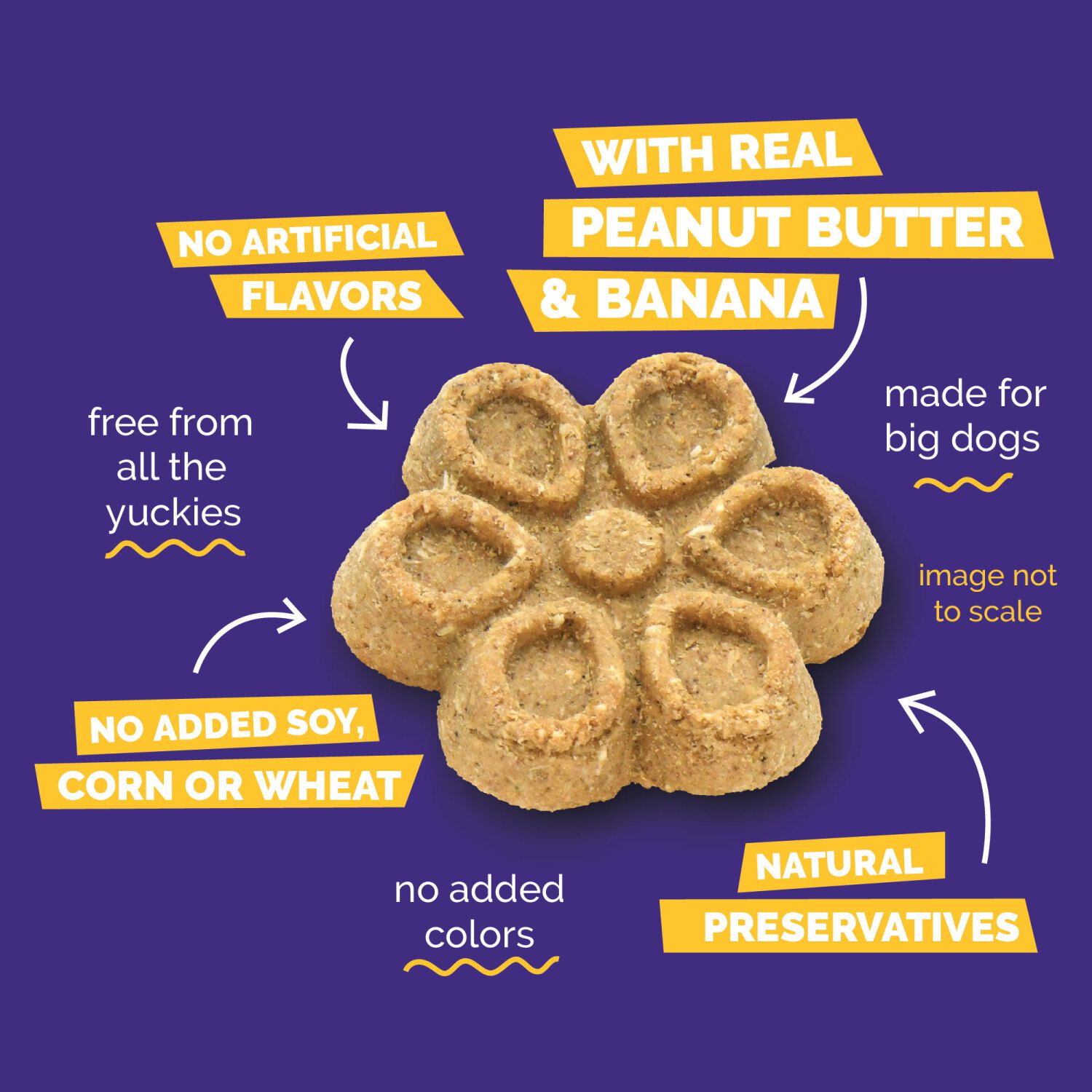 Fruitables Biggies Crunchy Biscuit Dog Treats, Peanut Butter & Banana, 16-Oz
