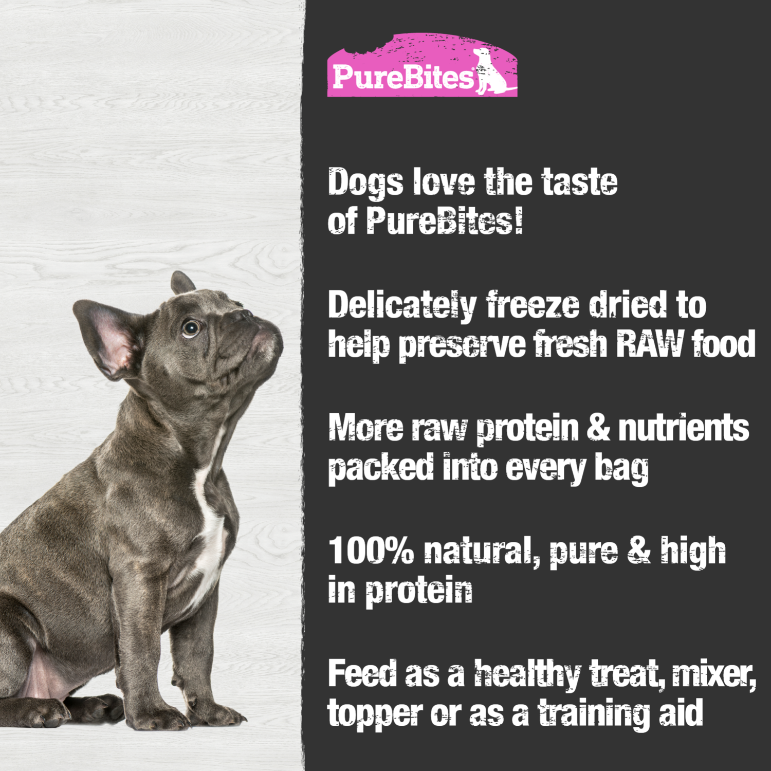 Purebites Single Ingredient Freeze-Dried Dog Treats, Salmon, 9.5-Oz