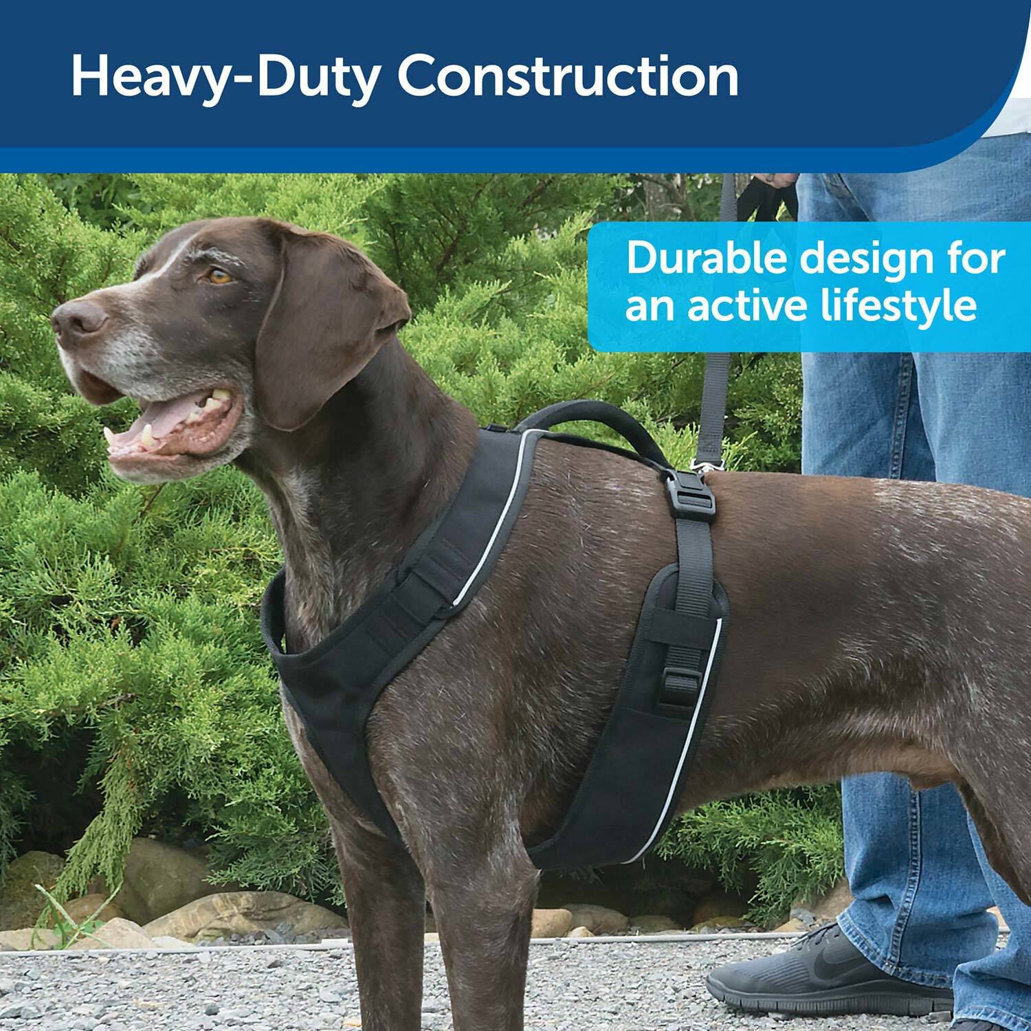 Petsafe easy sport harness online