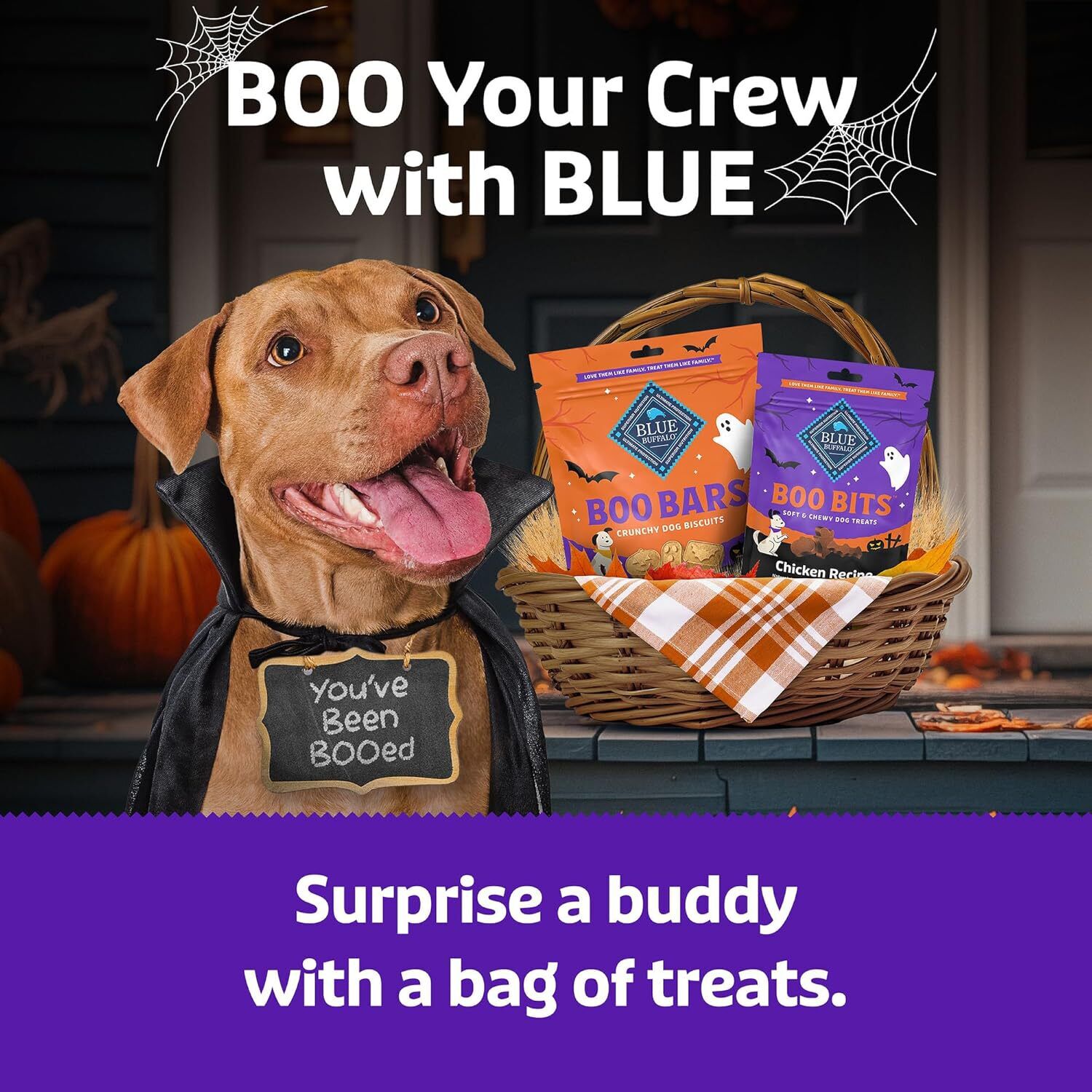 Blue Buffalo Boo Bits Soft & Chewy Halloween Dog Treats, Tasty Chicken Flavor, 4.5-Oz Bag