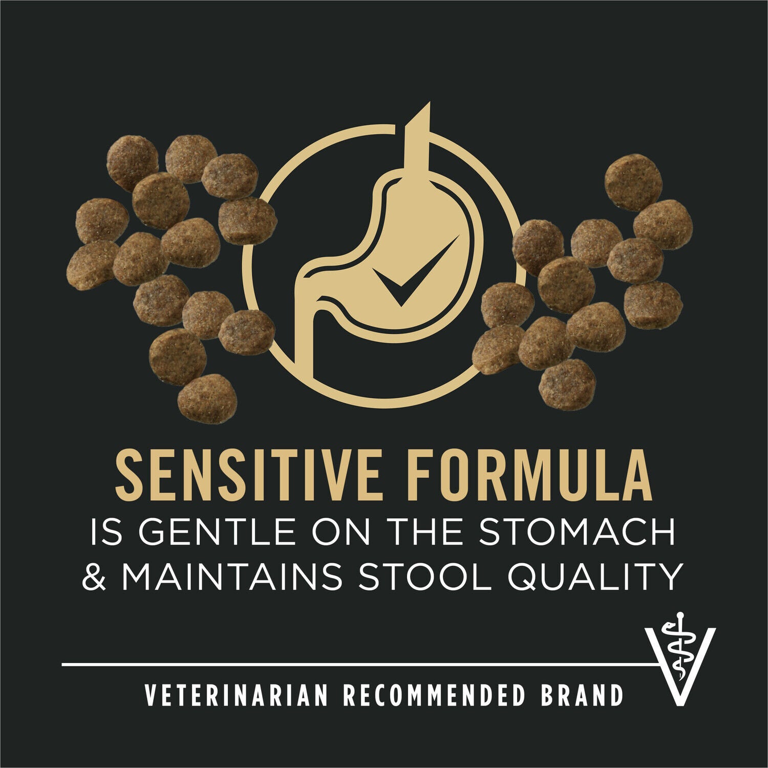 Purina Pro Plan Sensitive Skin And Stomach Large Breed Puppy Formula Dry Dog Food, Salmon And Rice, 24Lb