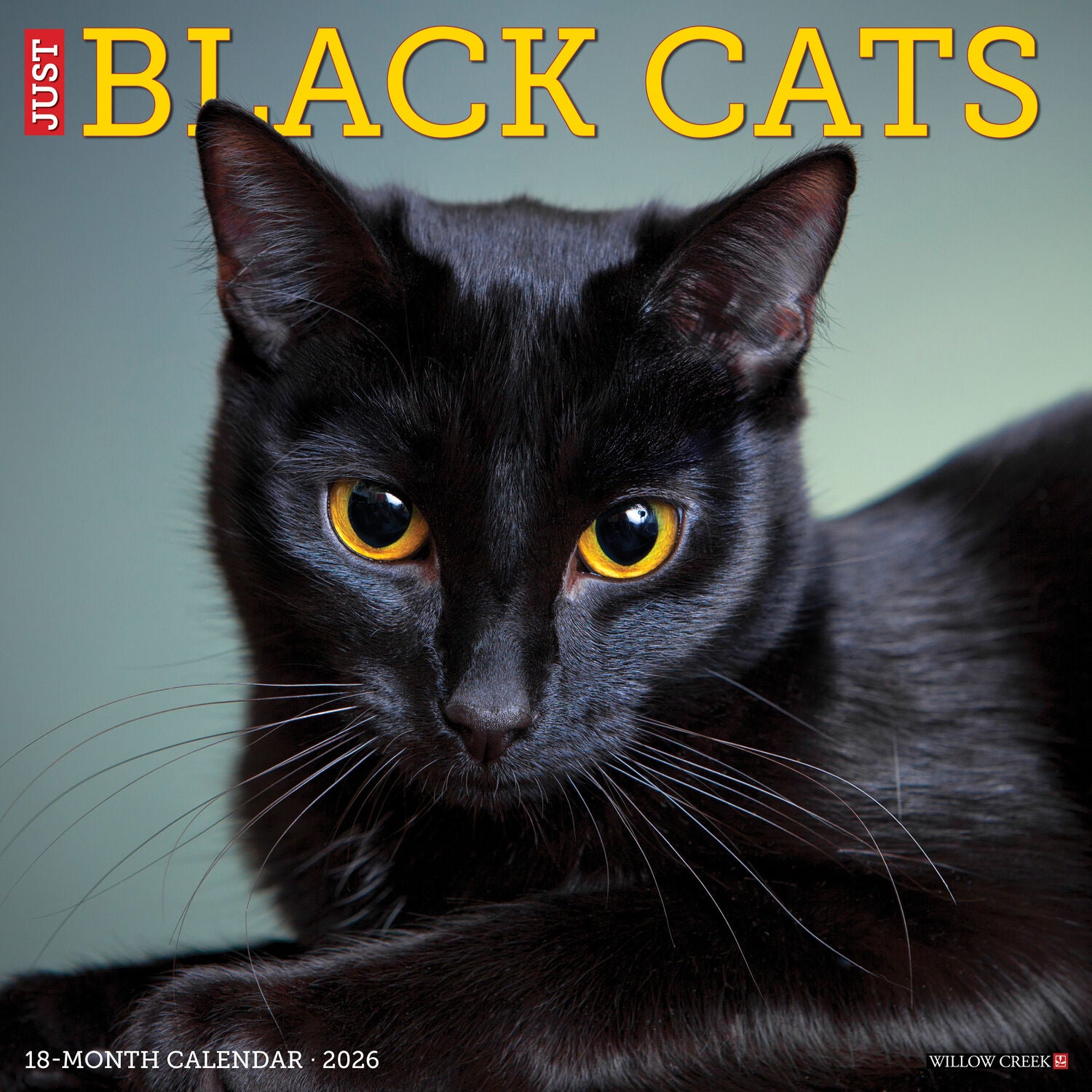 Willow Creek Press 2026 Black Cats Wall Calendar